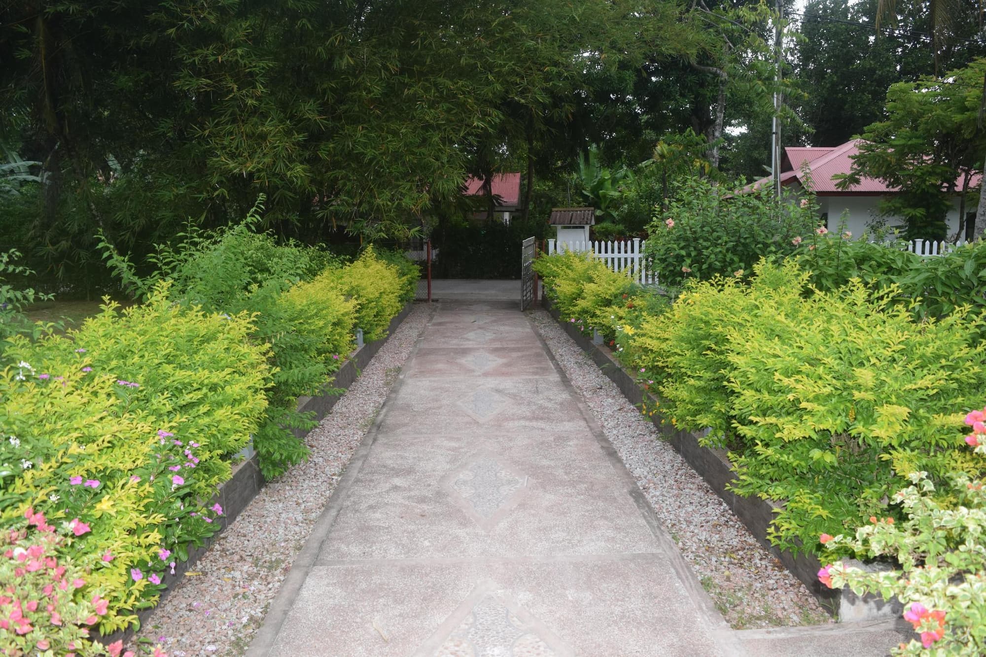 Chalet Bamboo Vert, General view