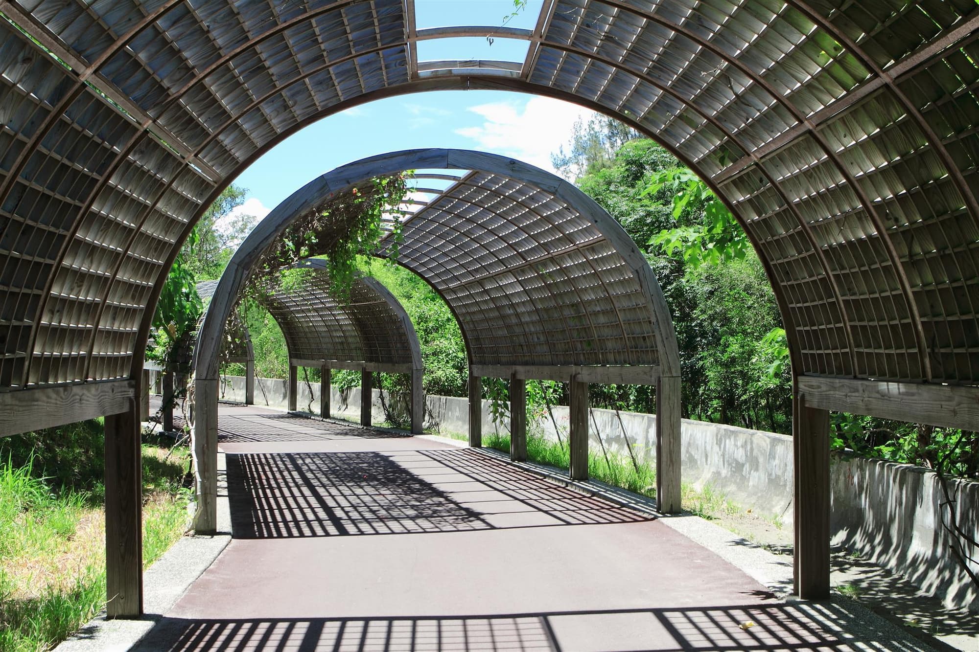 Blue Ocean Stars , General view