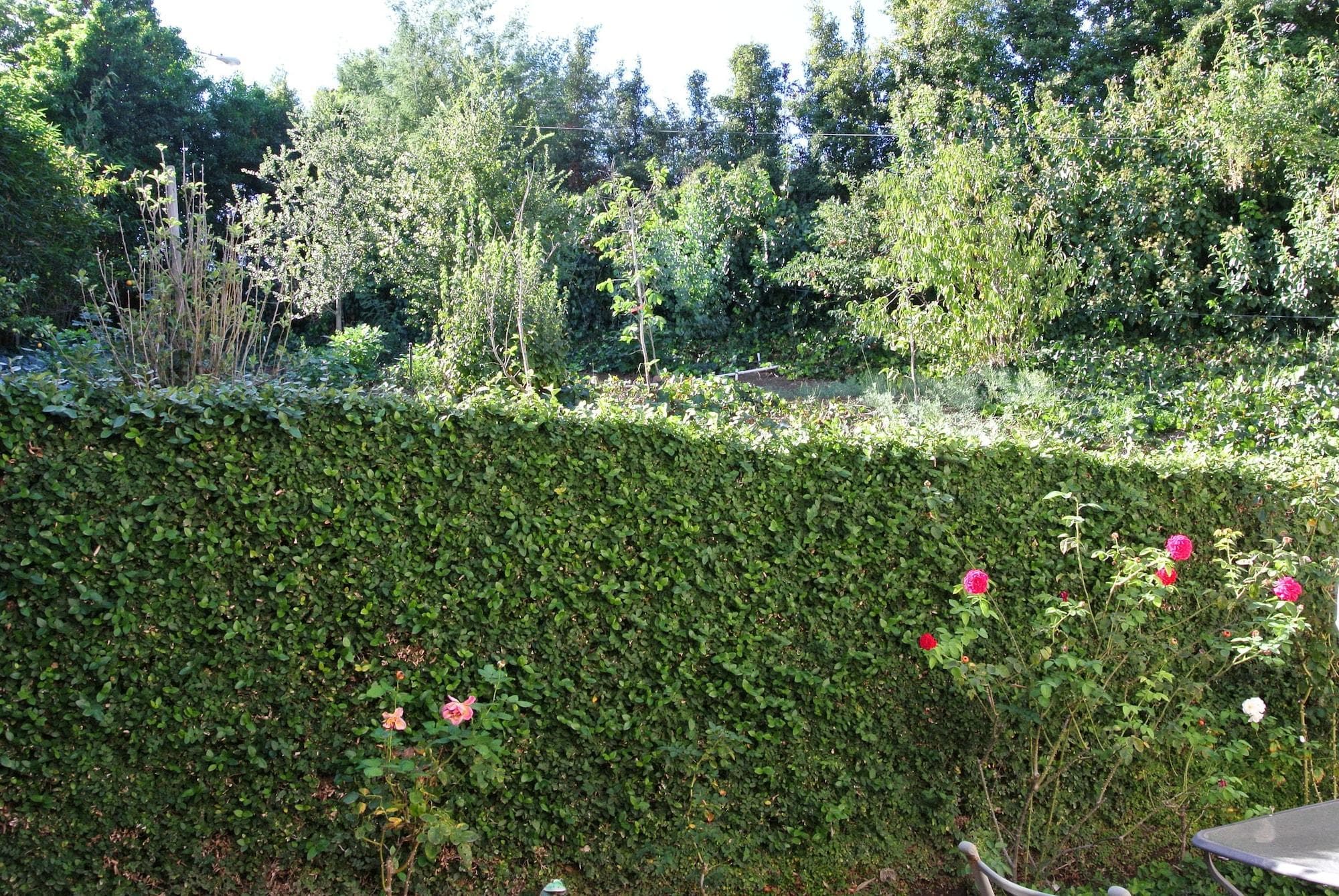 Mini Mansion In Hollywood Hills, General view