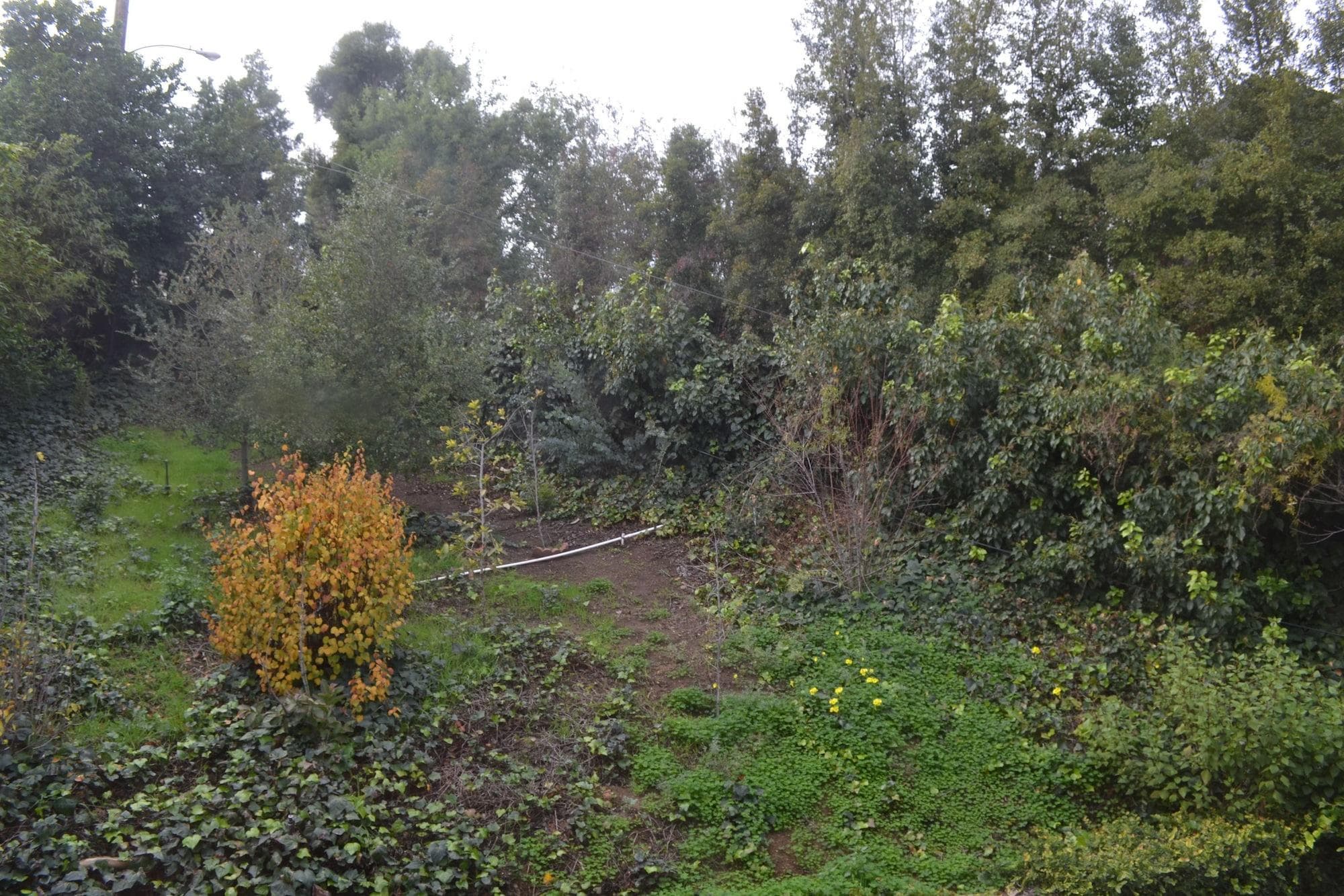 Mini Mansion In Hollywood Hills, General view