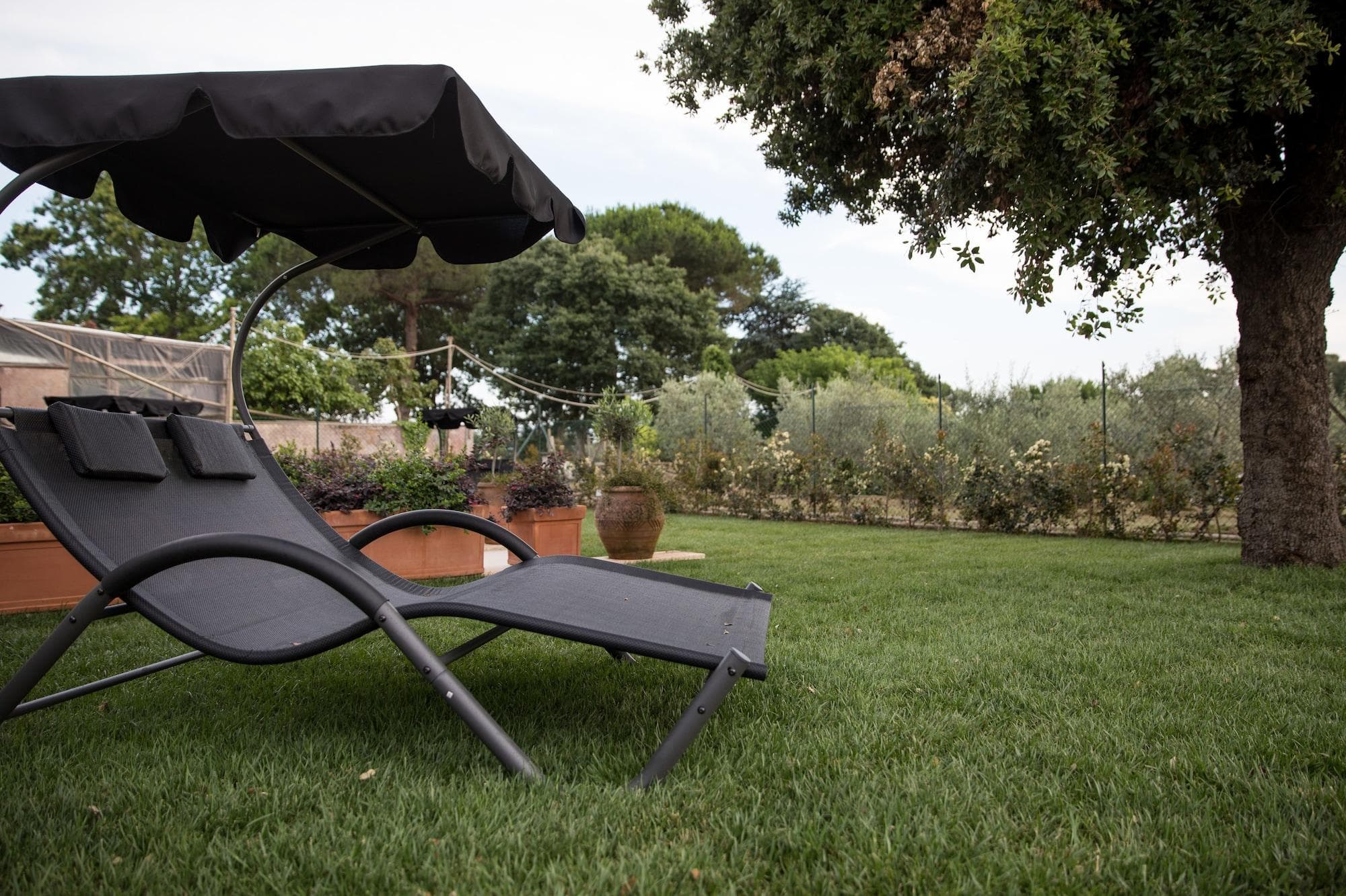 Love Fama, General view