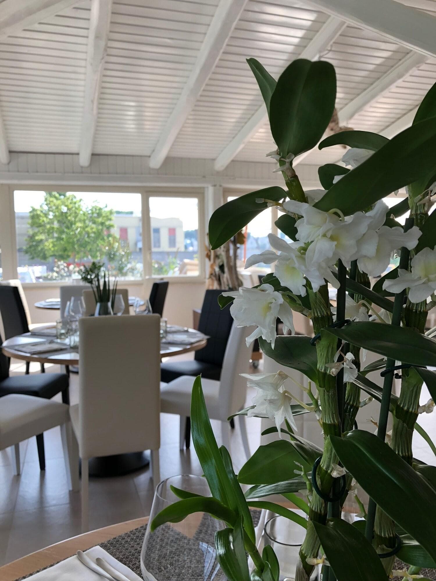 Love Fama, Restaurant