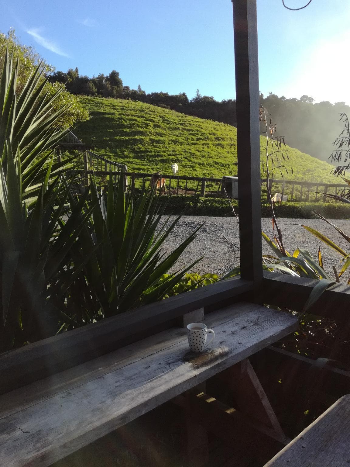 Juno Hall - BBH, General view