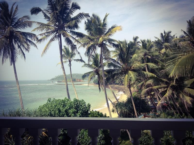 Sea Star, General view