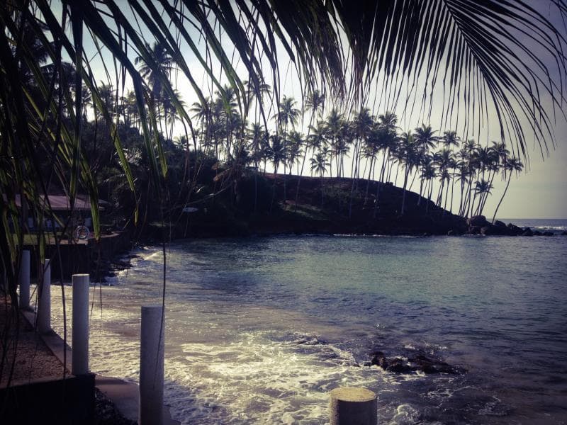 Sea Star, General view