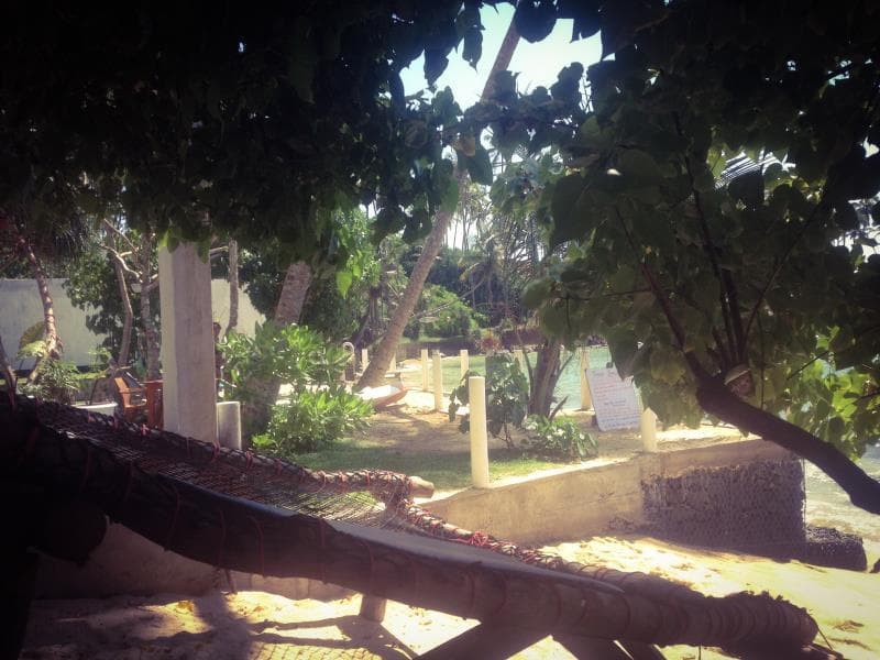 Sea Star, General view