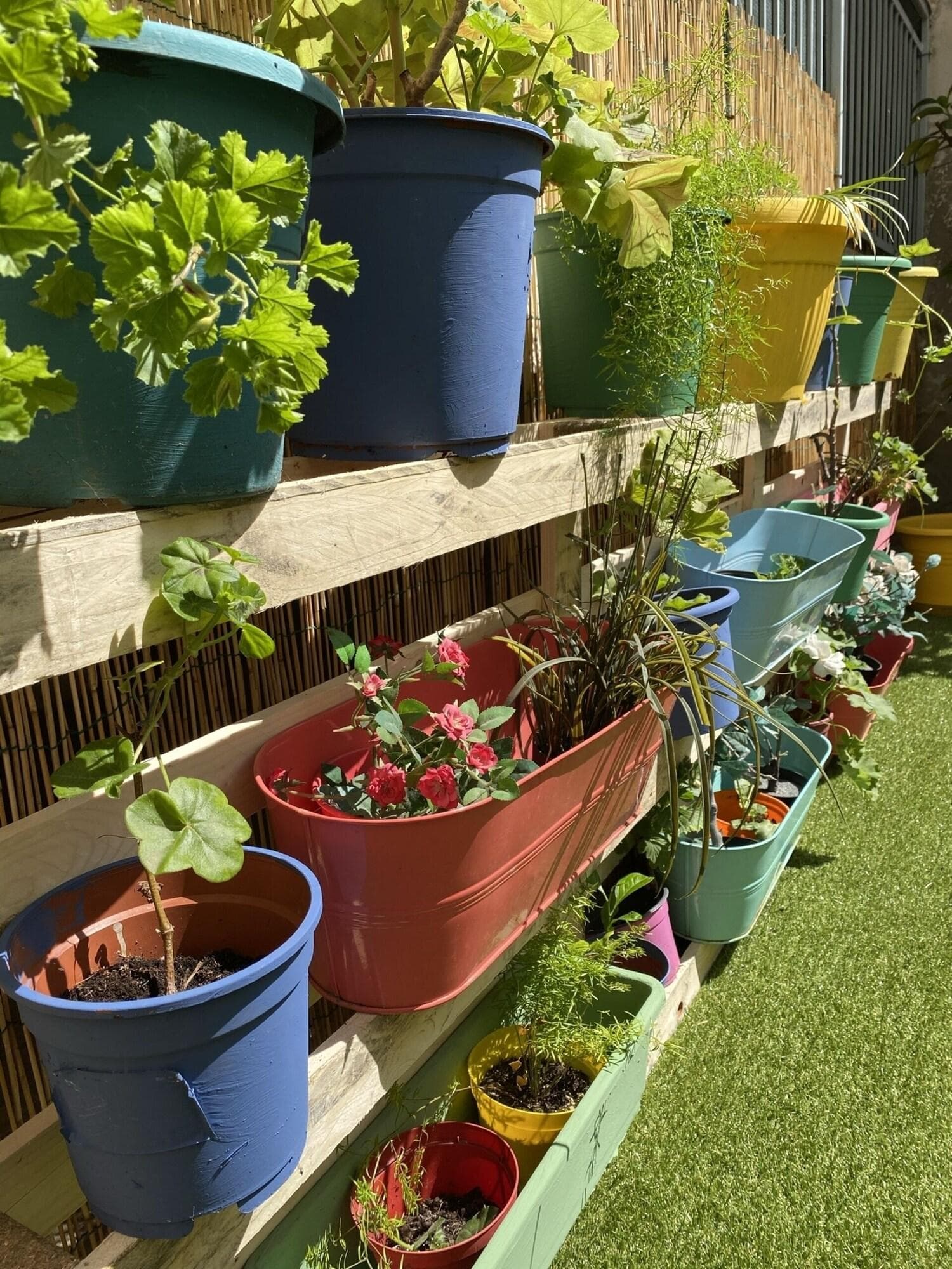 Olive Tree Hostel, Terrace