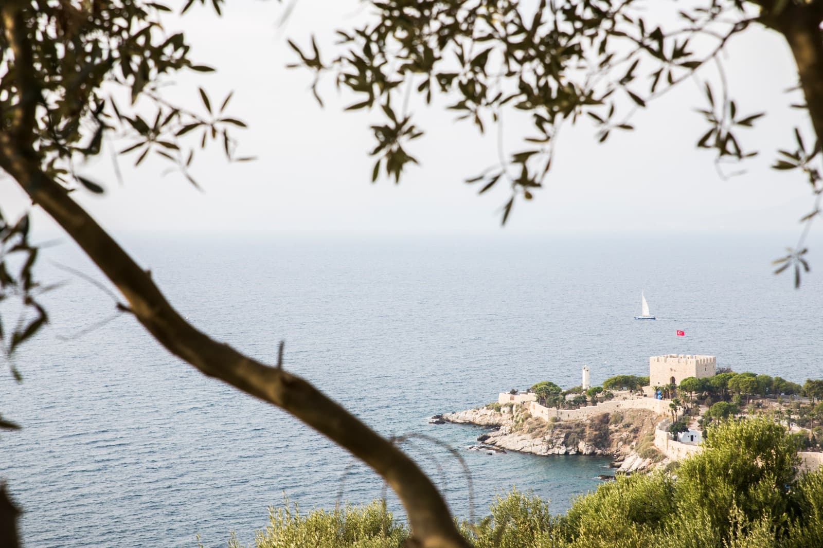 Neopol Hotel Deluxe, General view