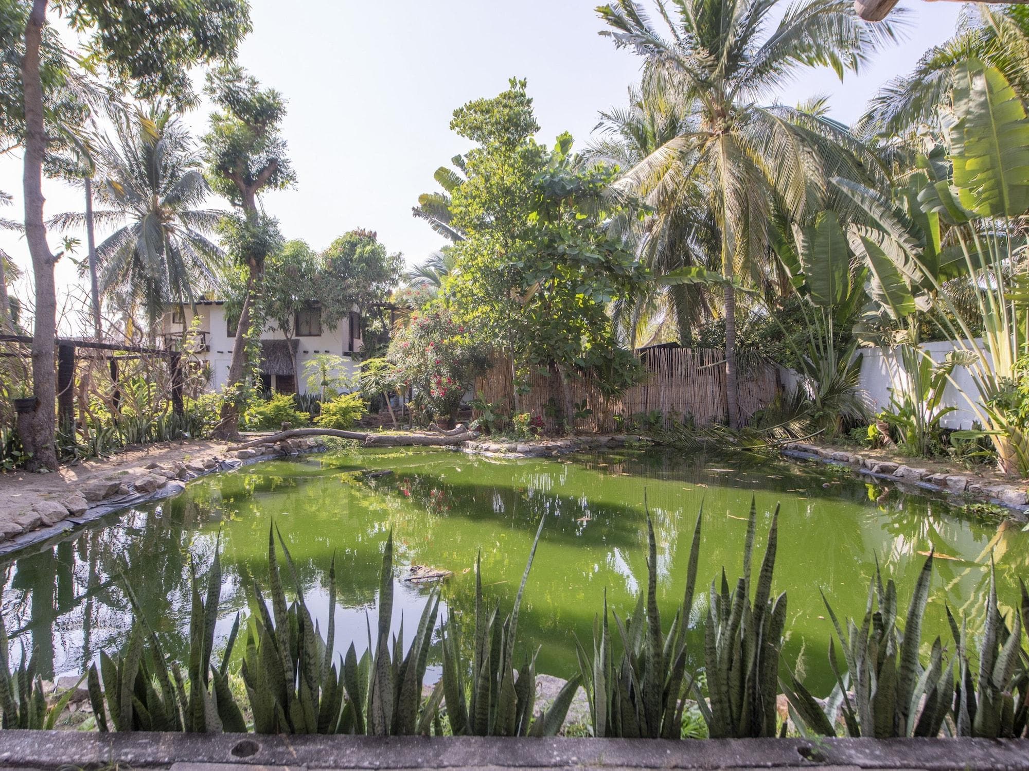Capital O Verdemar, General view