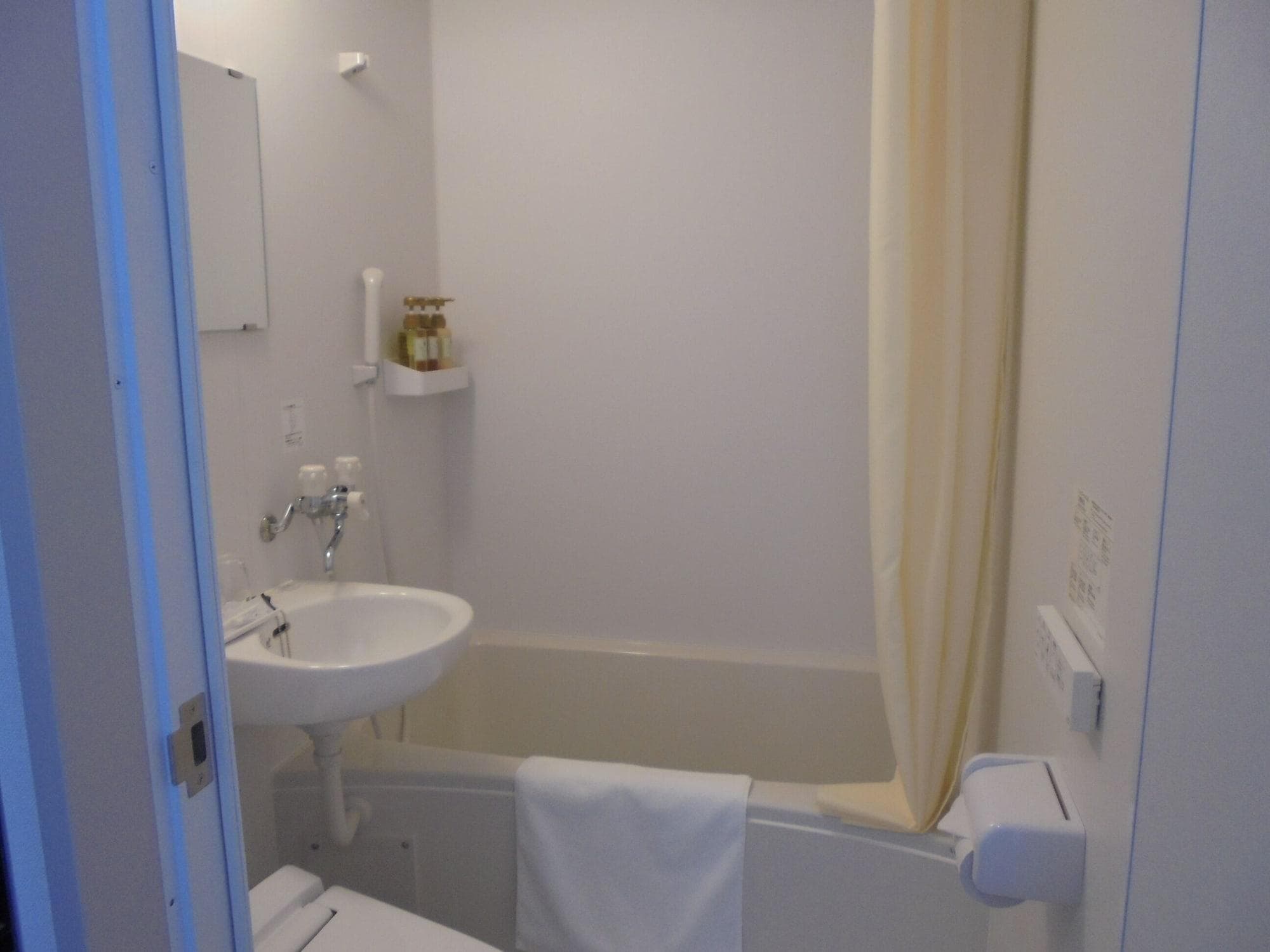 Hotel Nexus Hakatasanno, Room