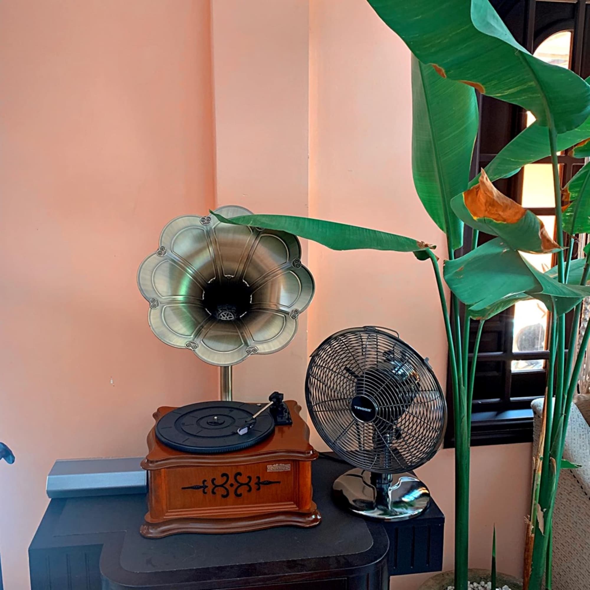 The Mansion Hoi An, Sports and Entertainment