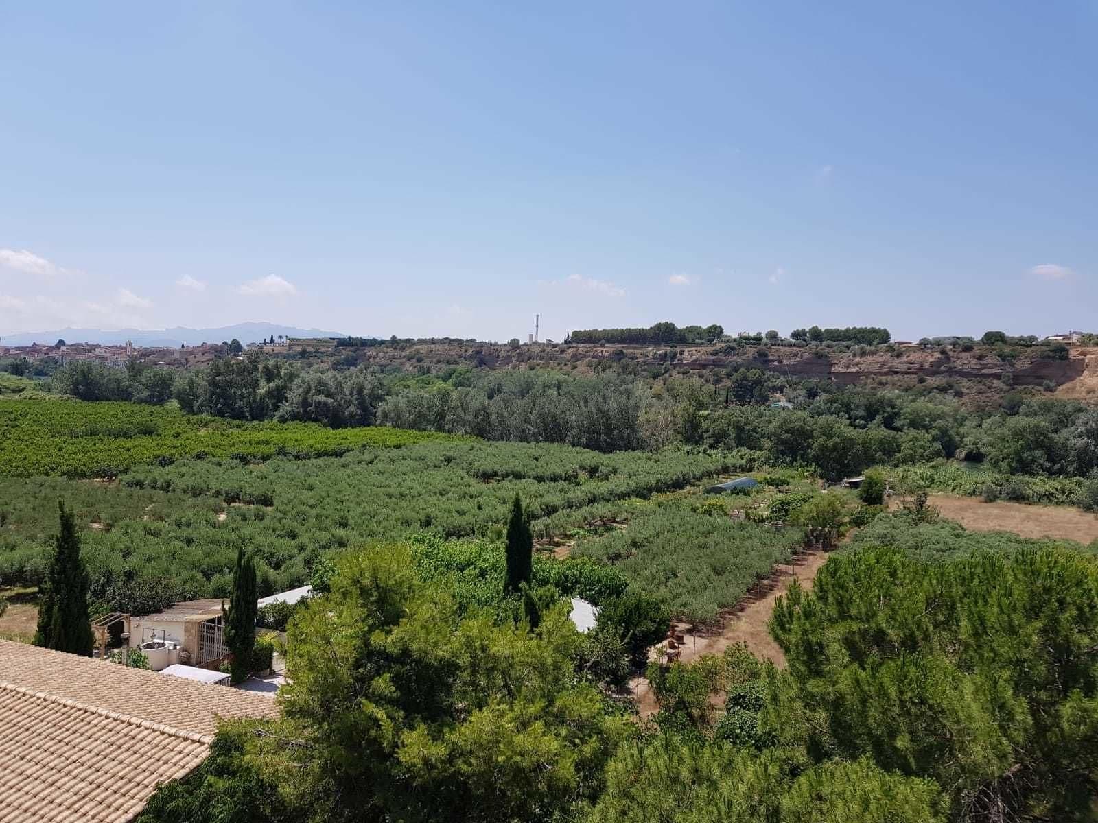 Hotel Mas Subirats, Room