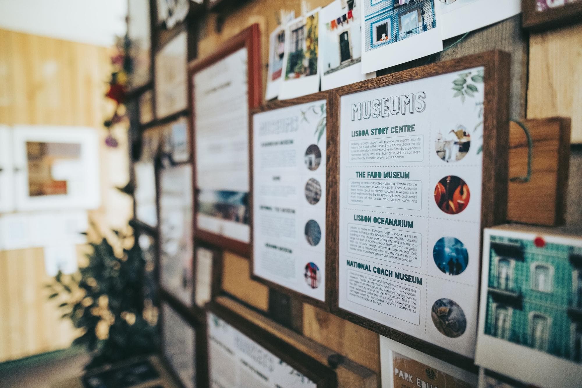 Urban Garden Hostel, Lobby