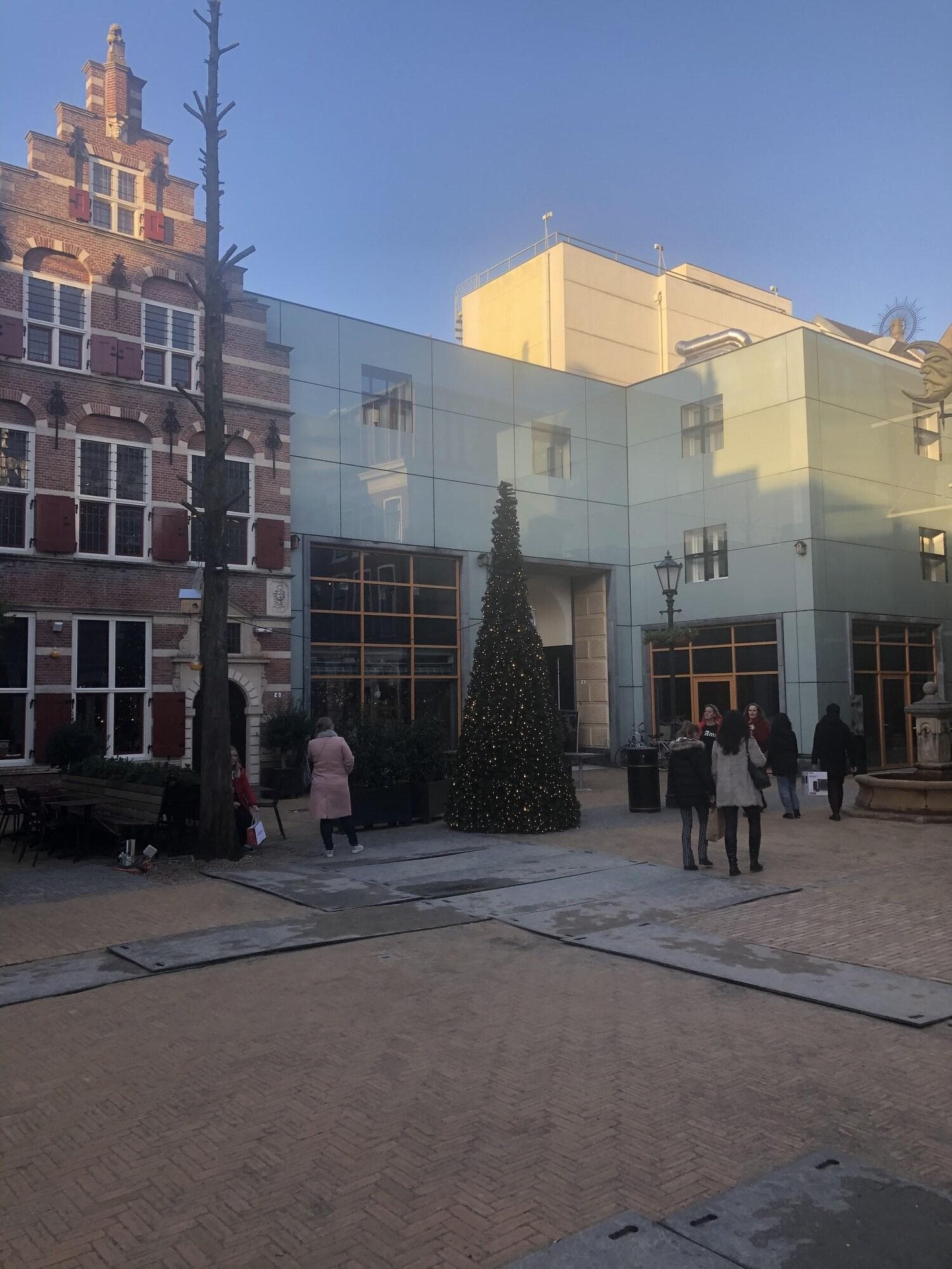 The Collector, General view