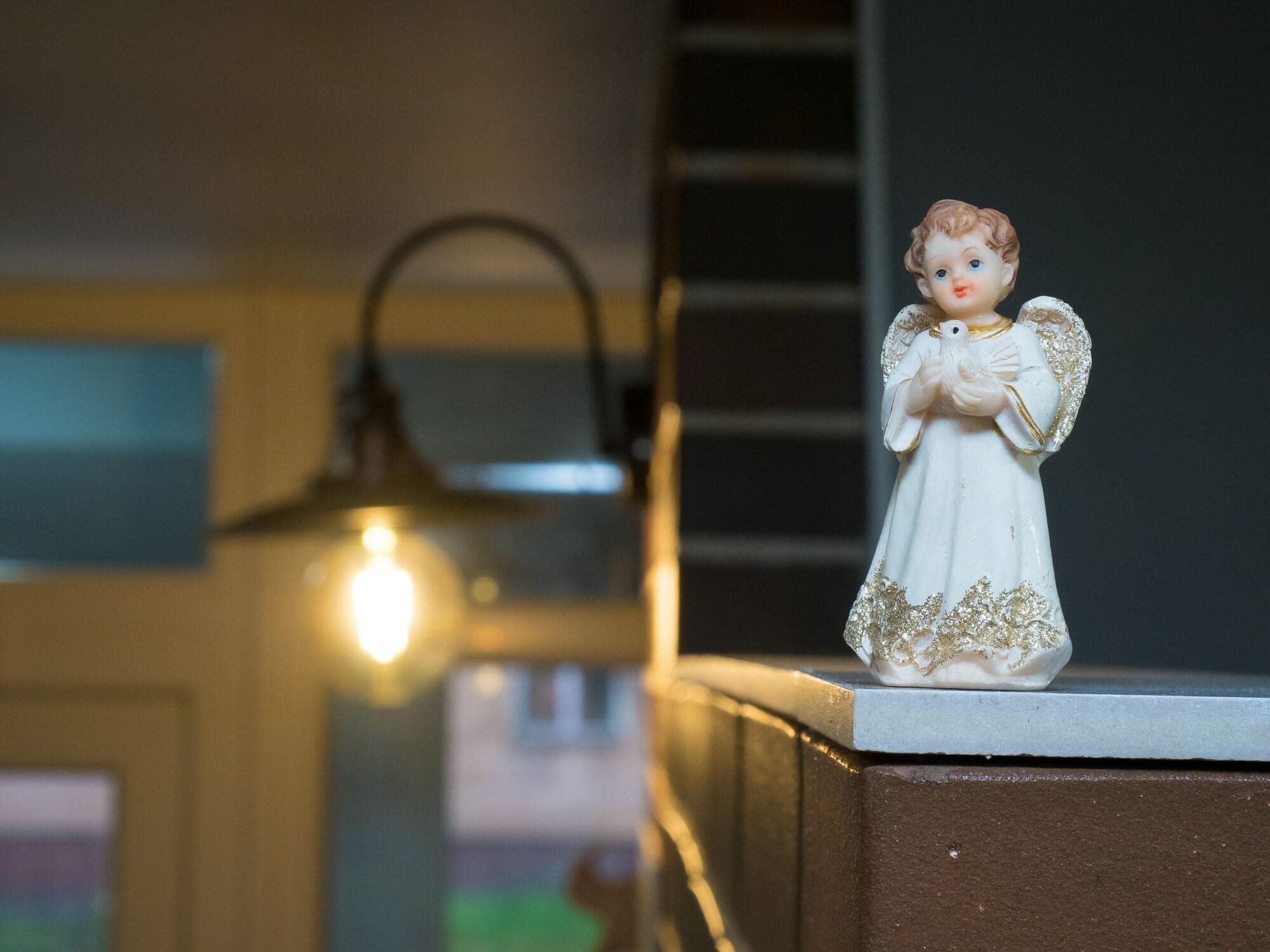 «Very center» hostel, General view