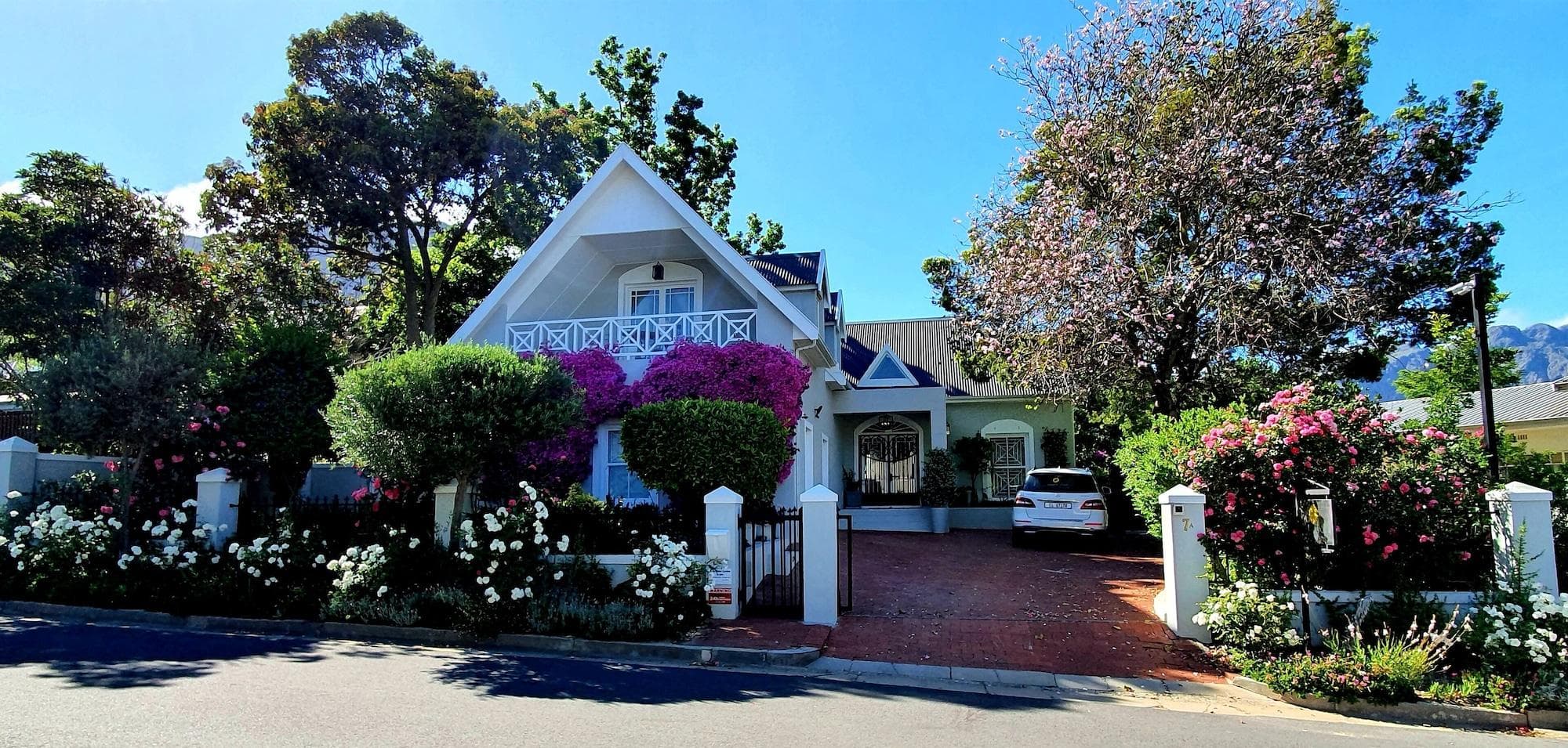 Fleur Du Soleil, General view