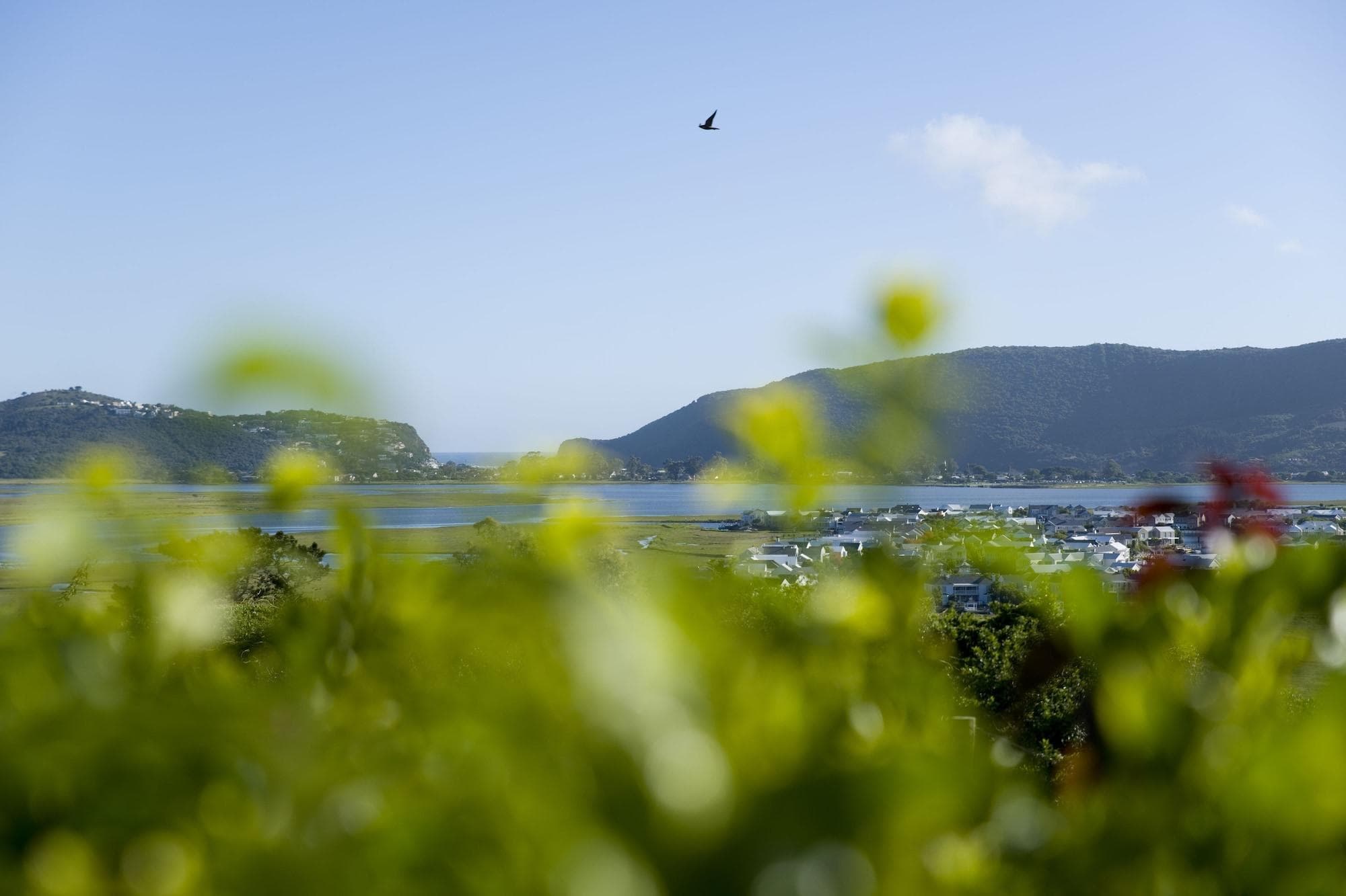 Candlewood Lodge - Bed & Breakfast, General view
