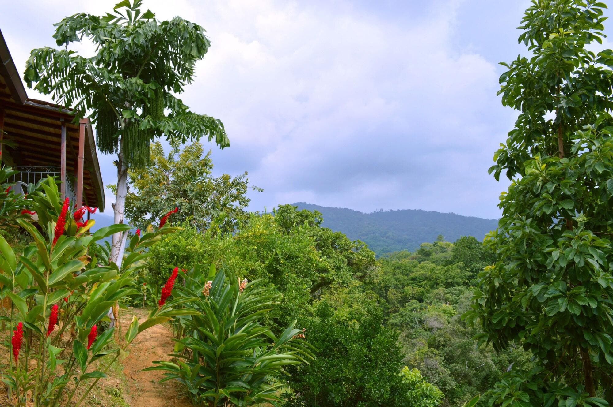 Sweet Harmony Hotel Boutique By Xarm Hotels, General view