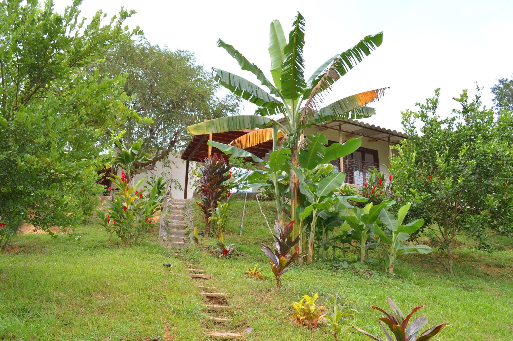 Sweet Harmony Hotel Boutique By Xarm Hotels, Lobby