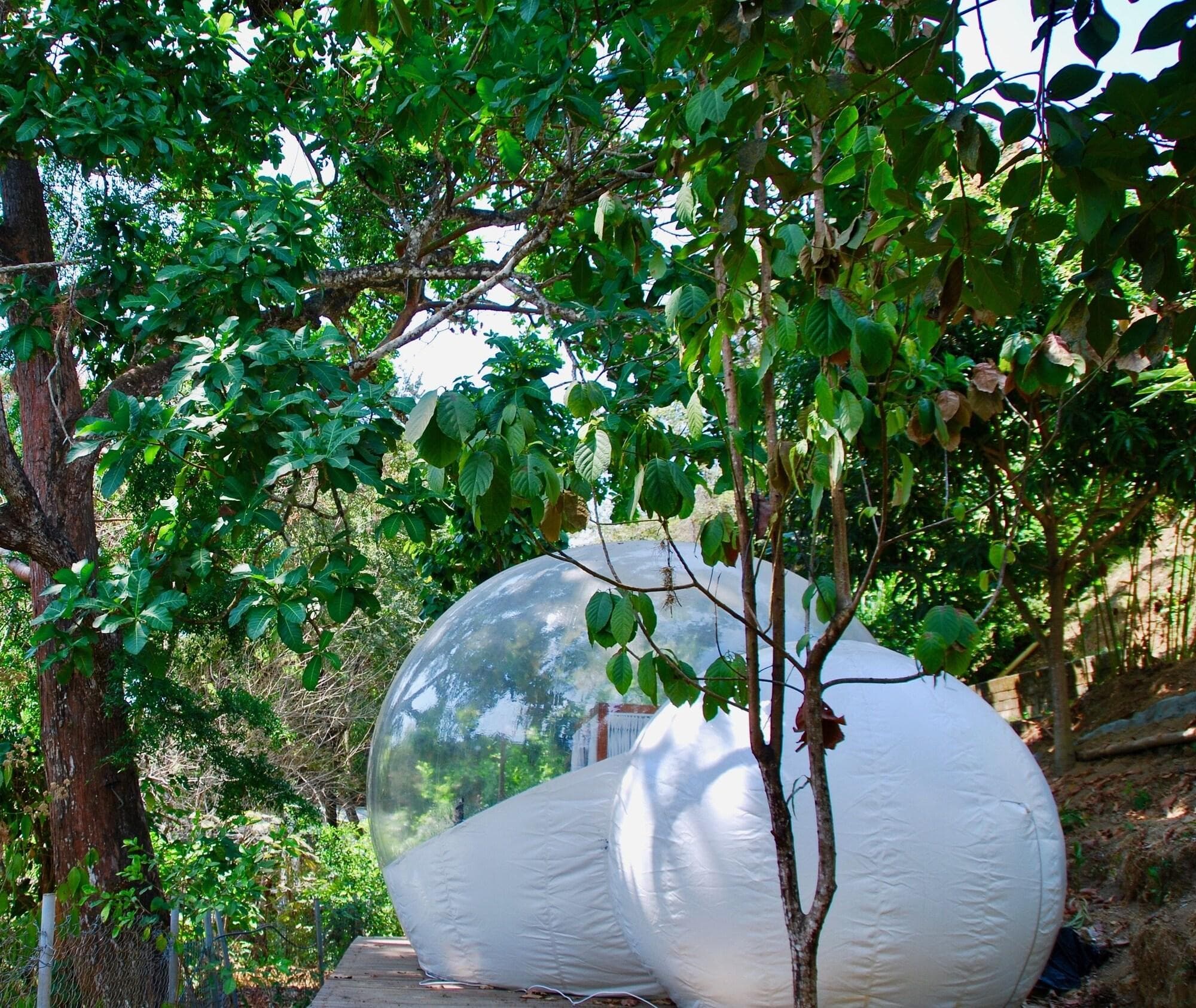 Sweet Harmony Hotel Boutique By Xarm Hotels, Room