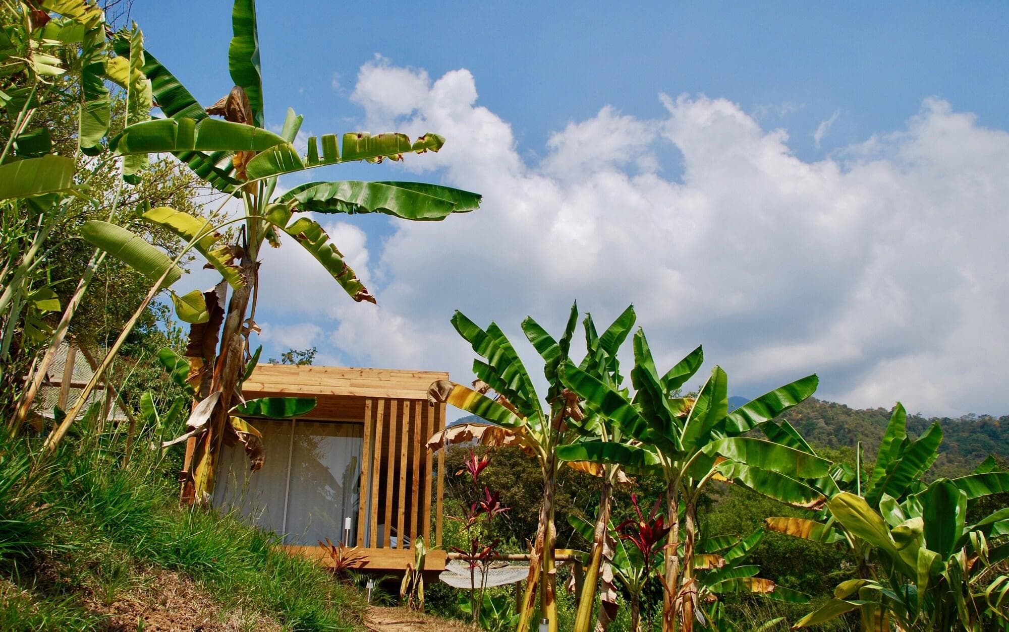 Sweet Harmony Hotel Boutique By Xarm Hotels, Room