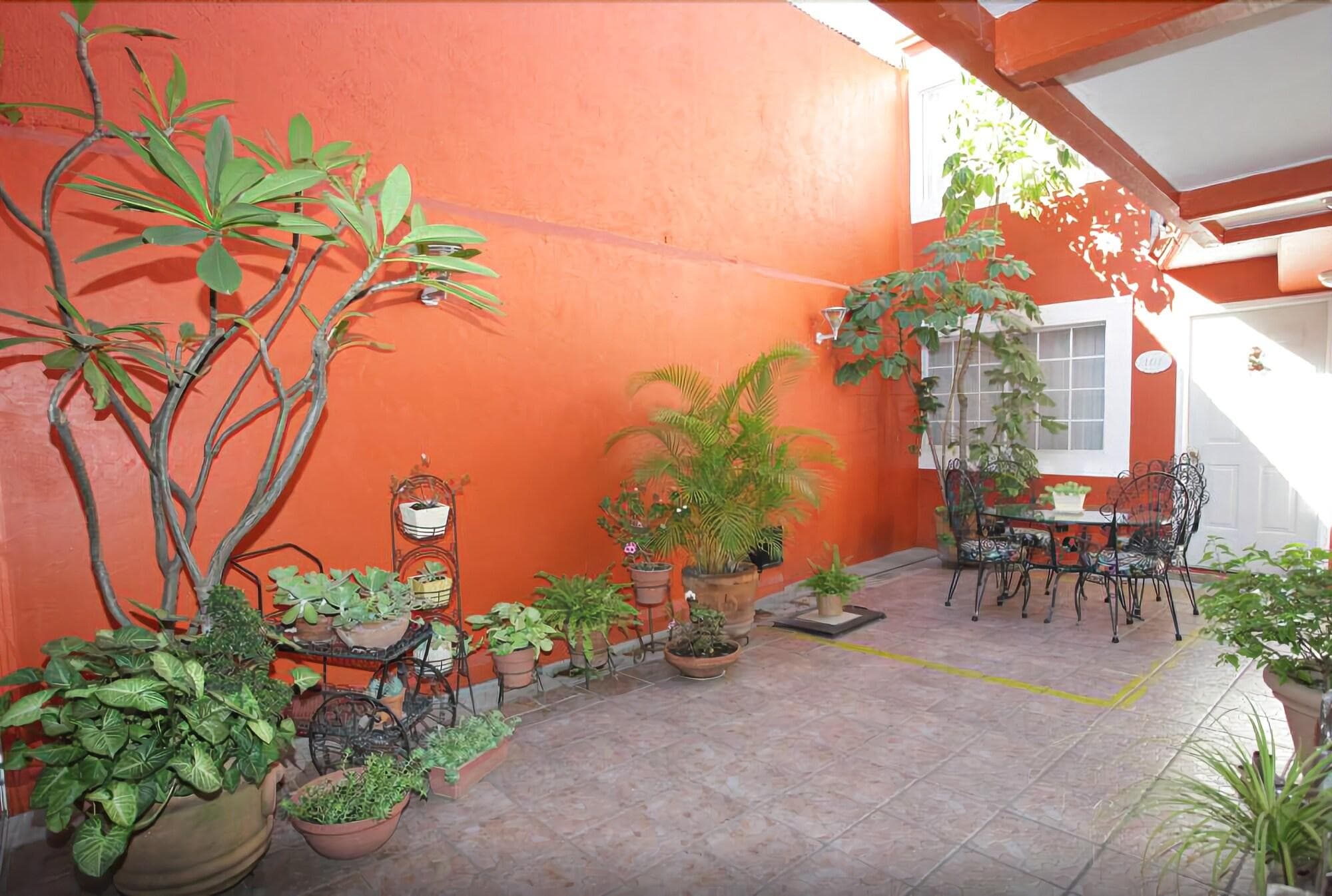 Hotel Camba, Terrace