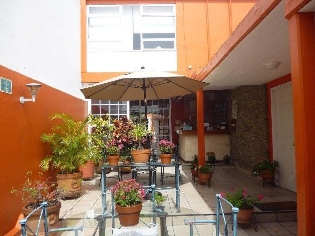 Hotel Camba, Terrace