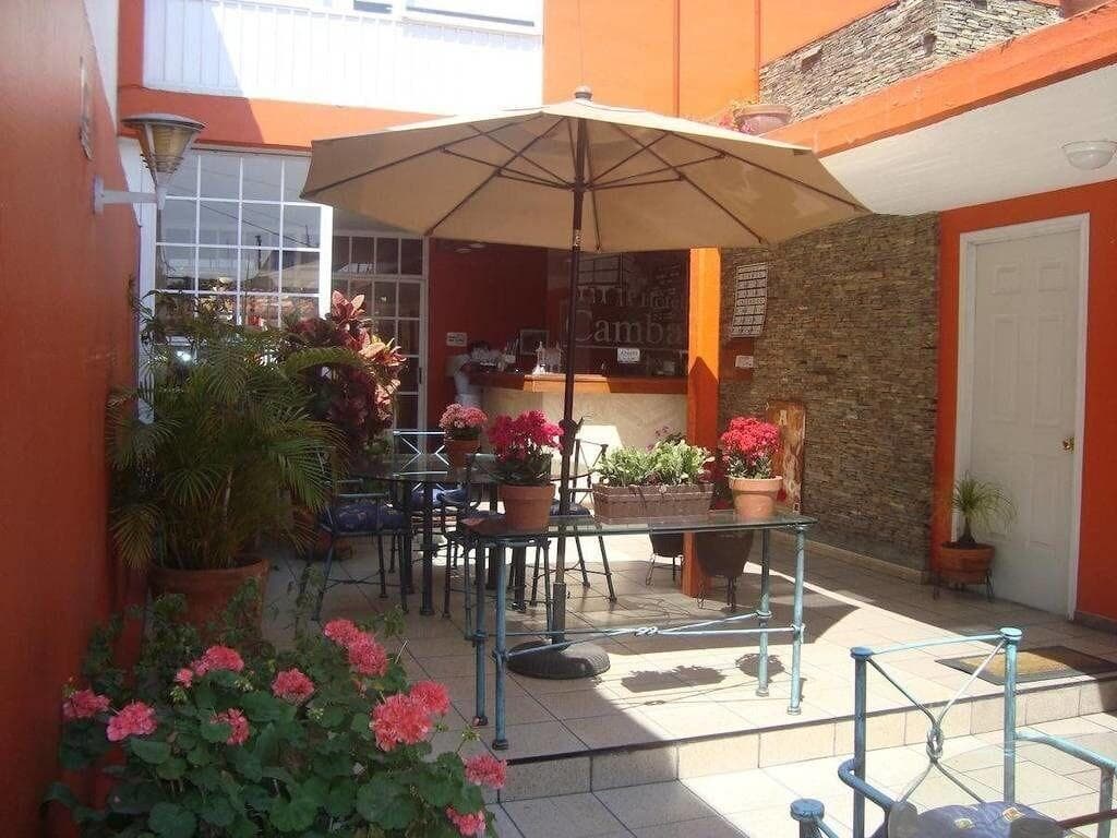 Hotel Camba, Terrace