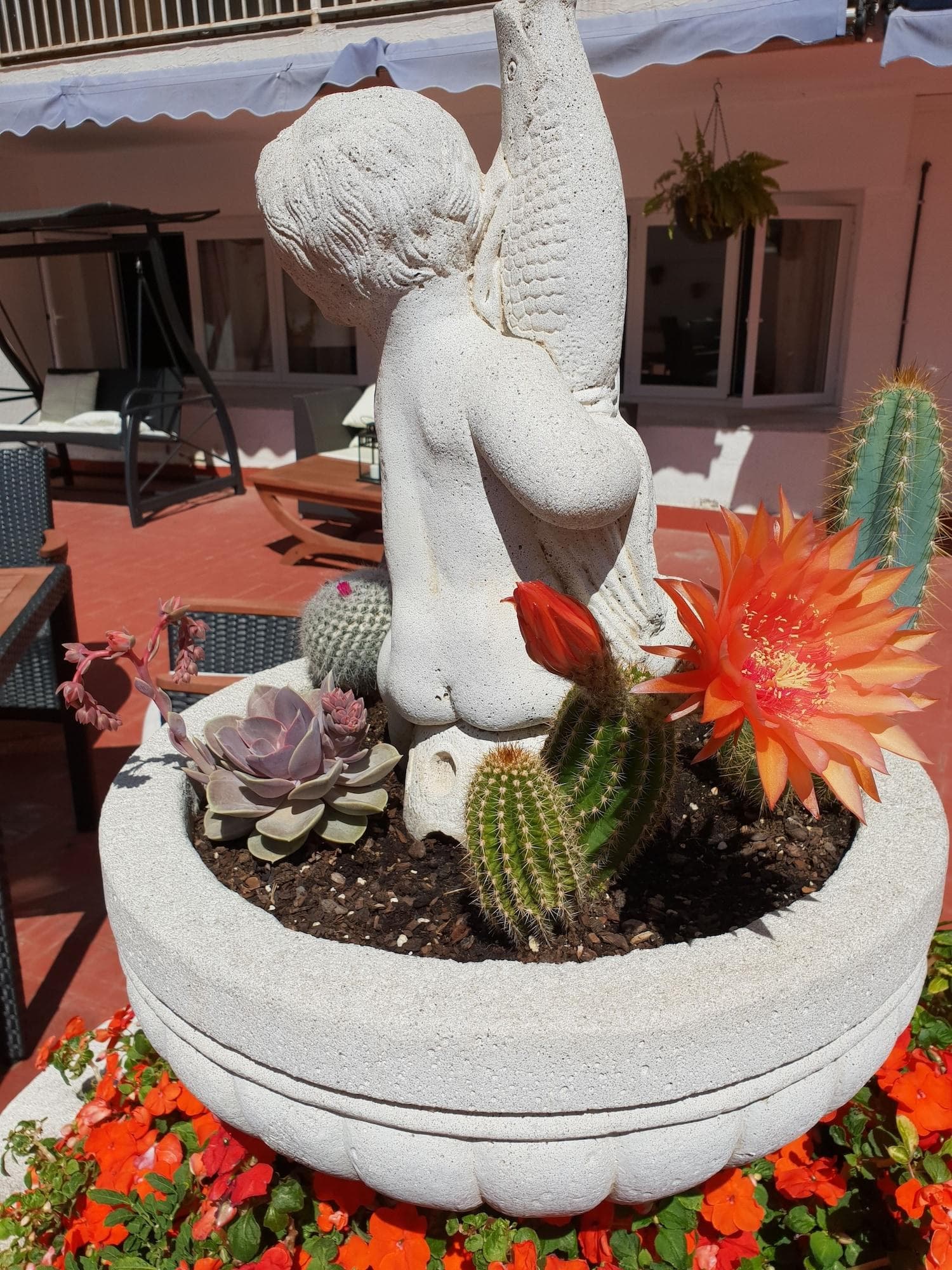 Hostal Liwi, General view