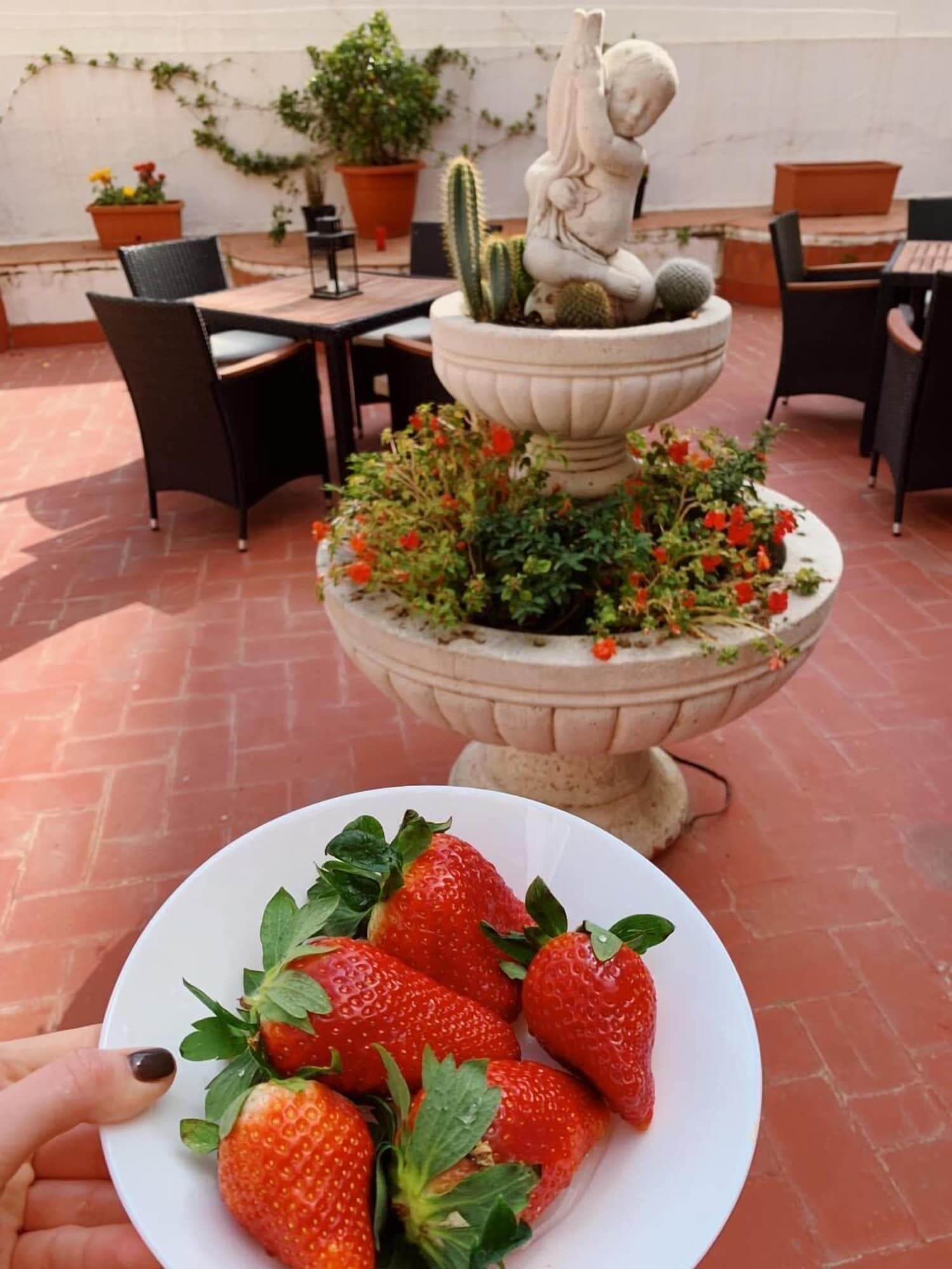 Hostal Liwi, General view