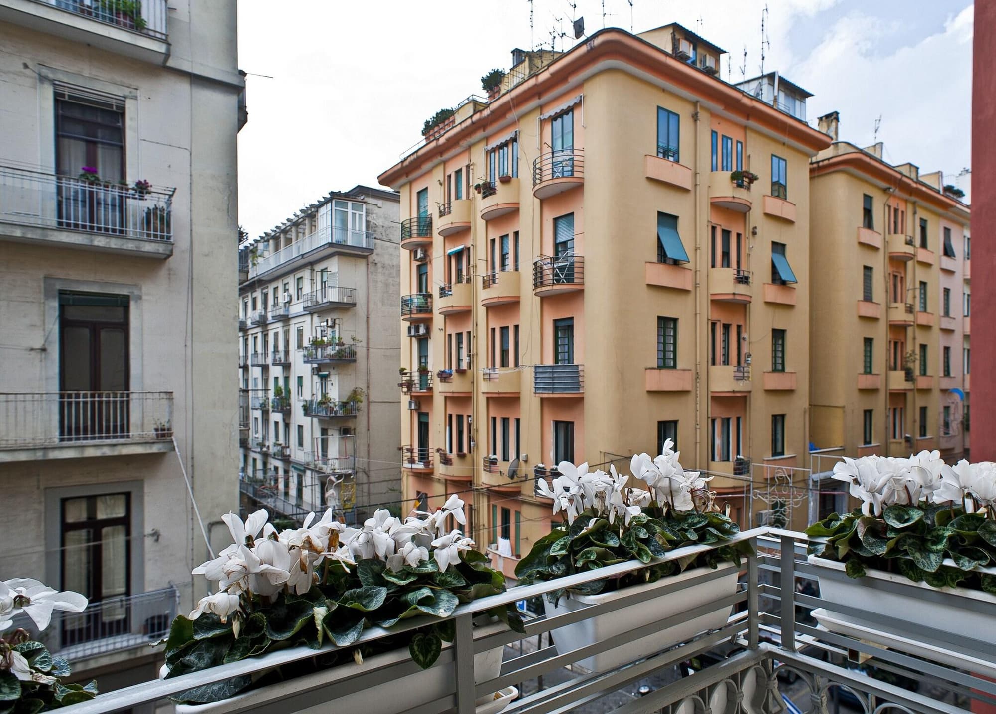 Il Reticolo, General view