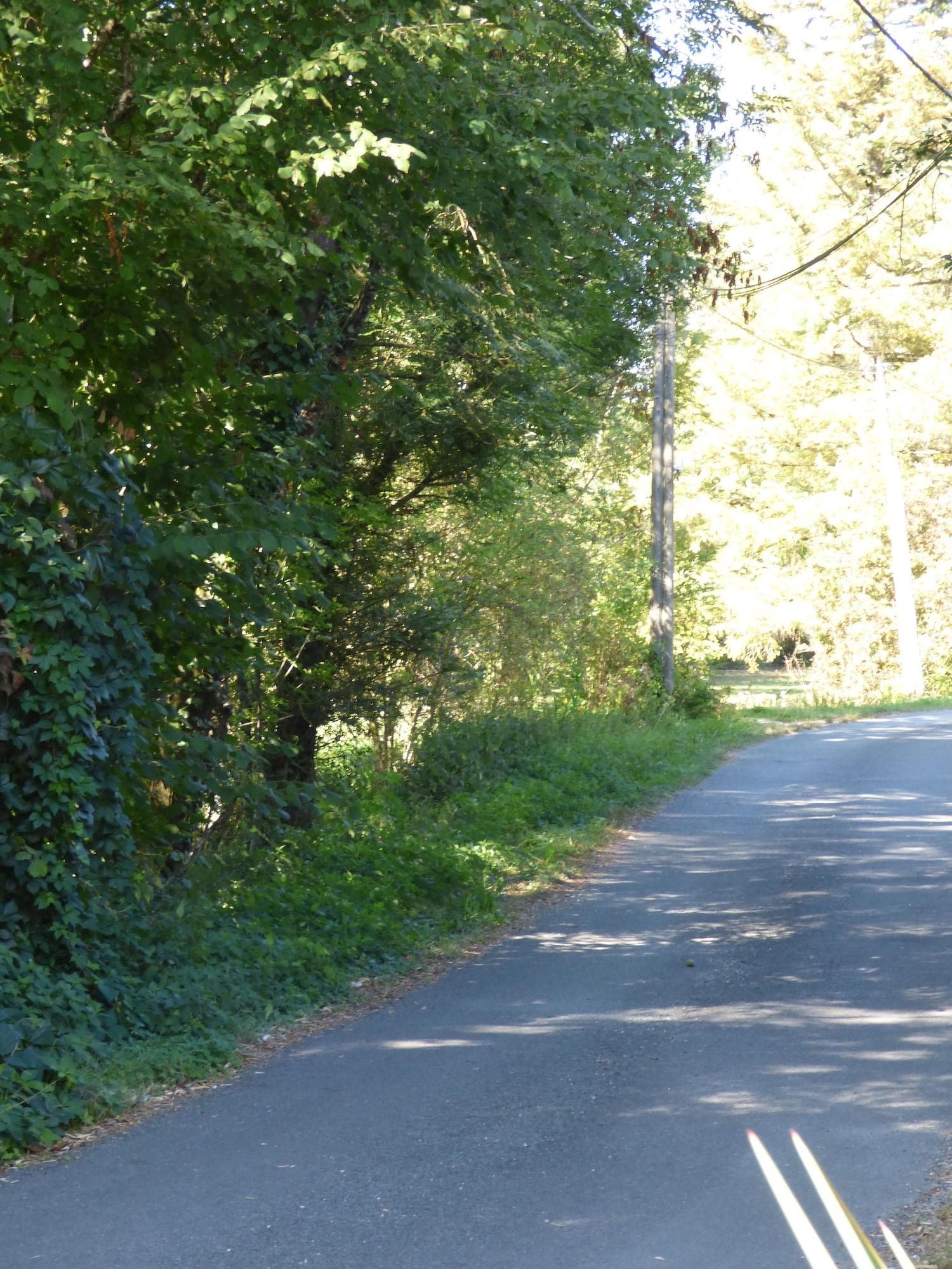 La Pomélie, General view
