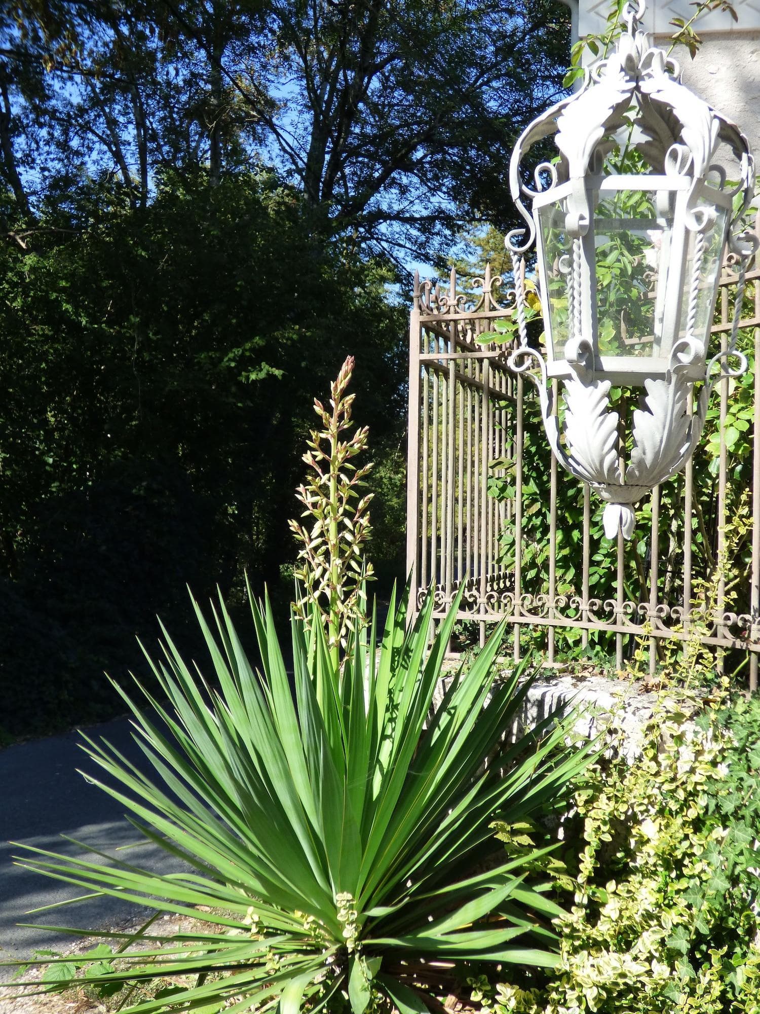 La Pomélie, General view