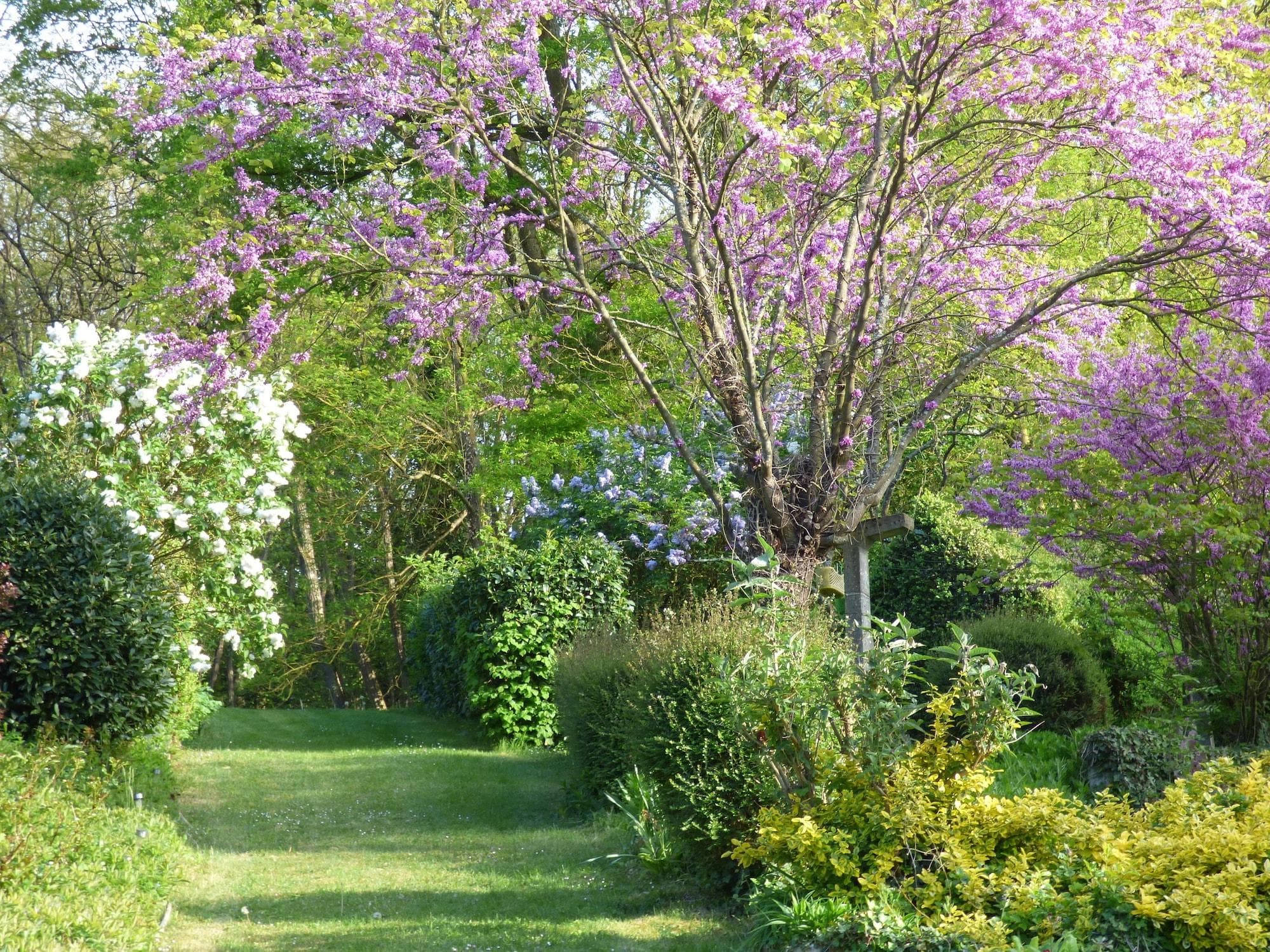 La Pomélie, General view
