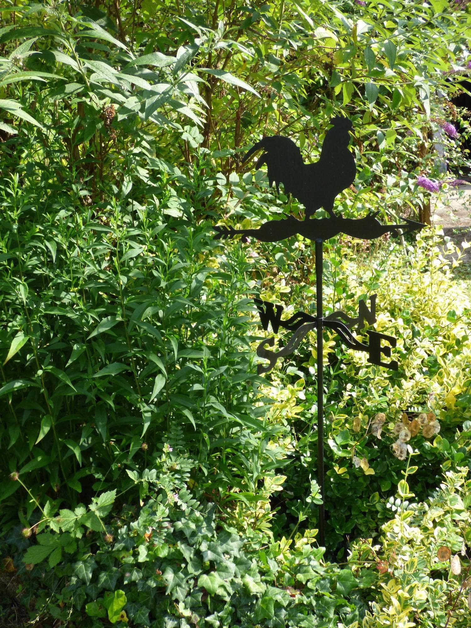 La Pomélie, General view