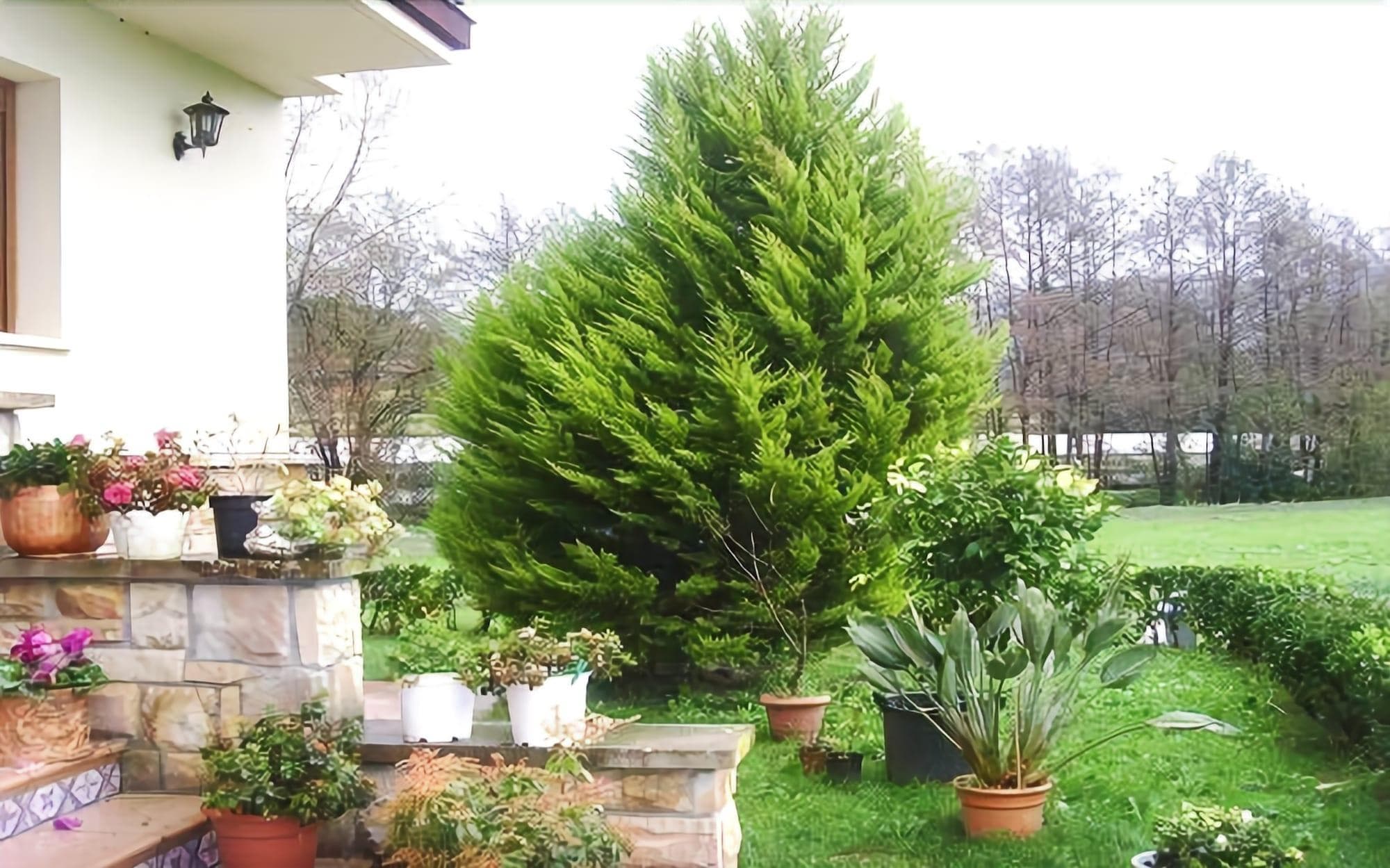 Agroturismo Ibarrondo Etxea, General view