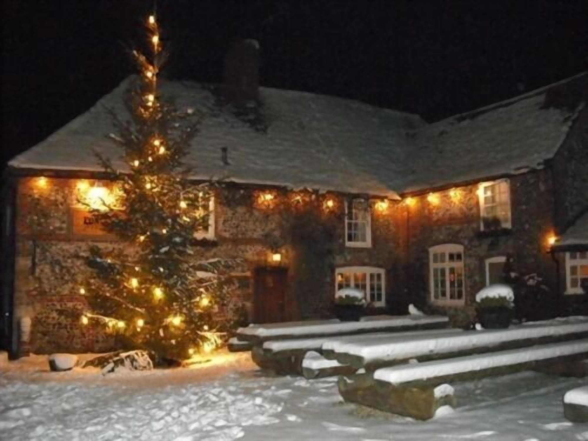 The Fox Goes Free, General view