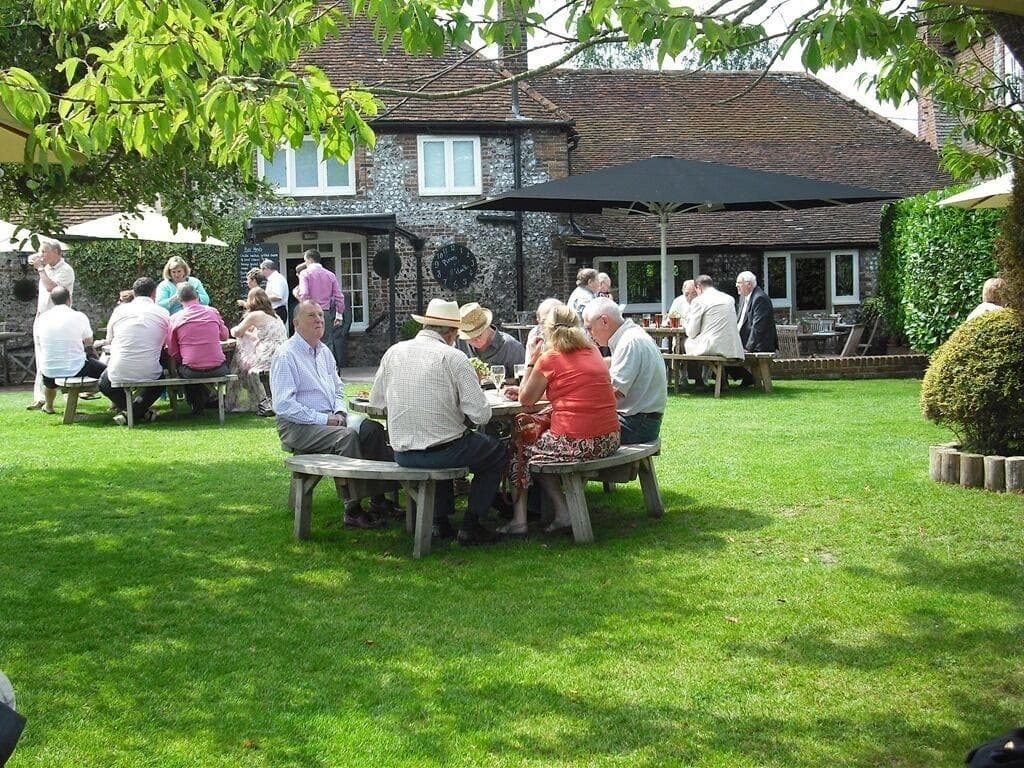 The Fox Goes Free, General view