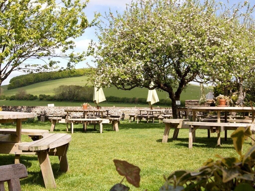 The Fox Goes Free, General view