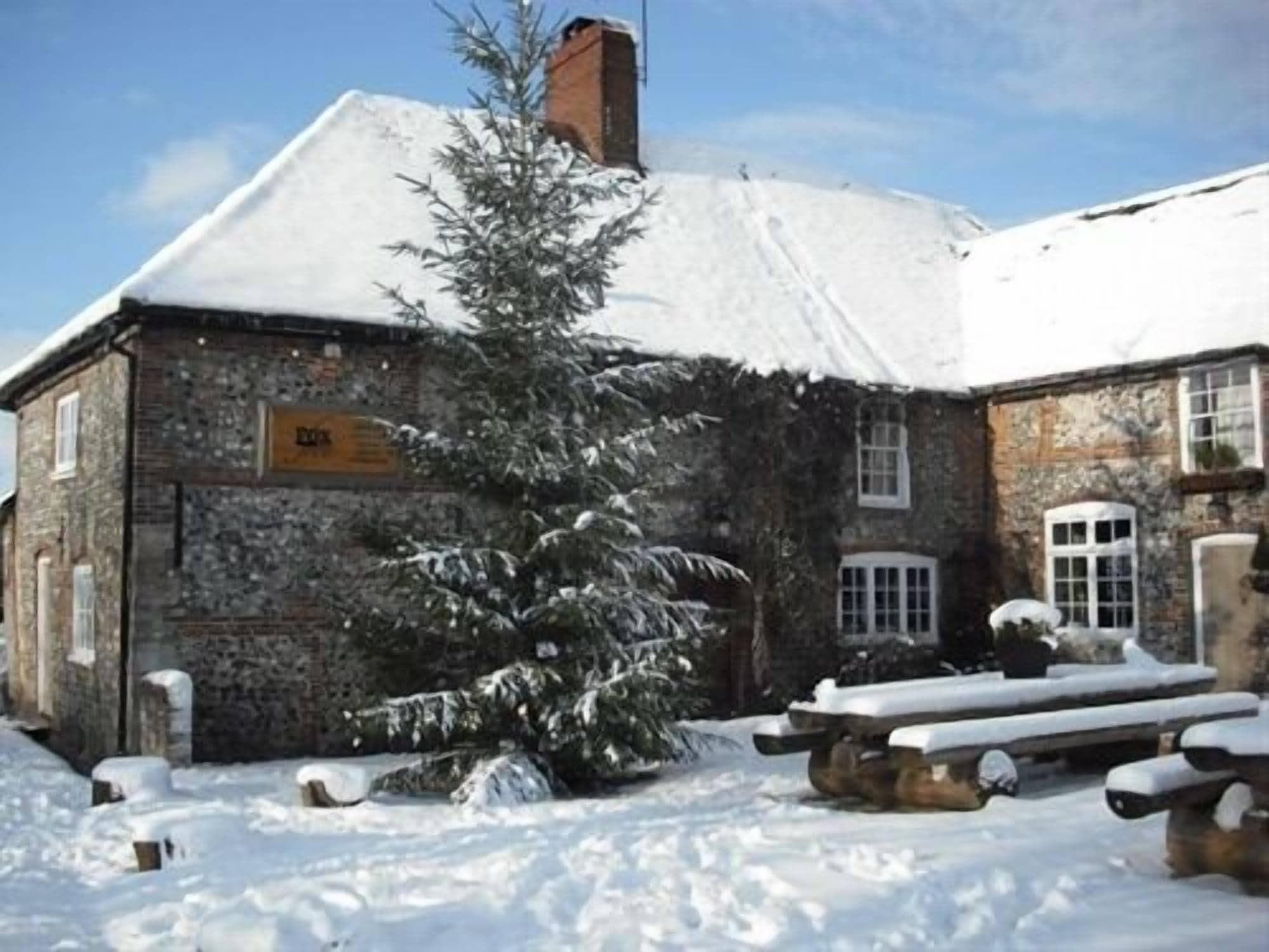 The Fox Goes Free, General view