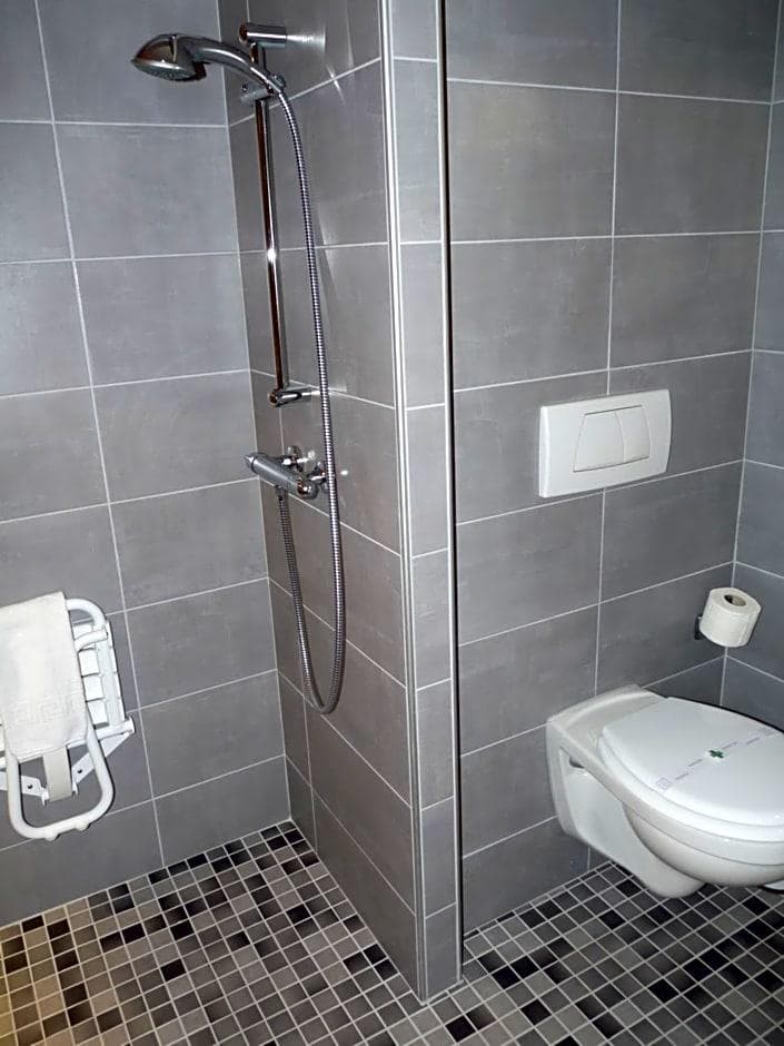 Hôtel le Riquewihr, General view