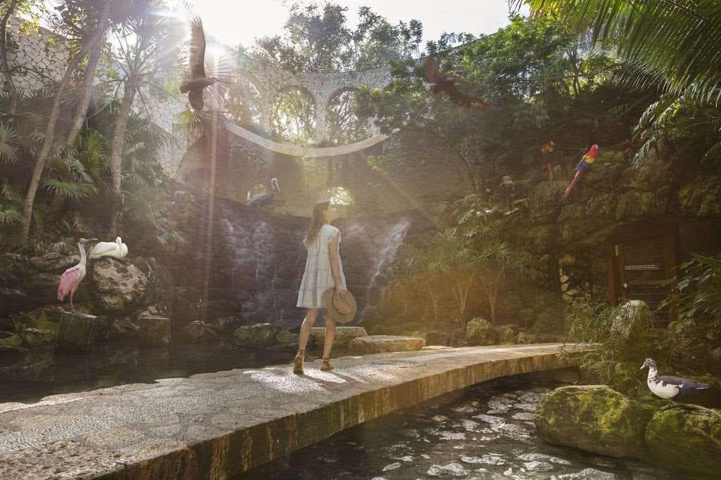 Hotel Xcaret Arte All Inclusive, General view