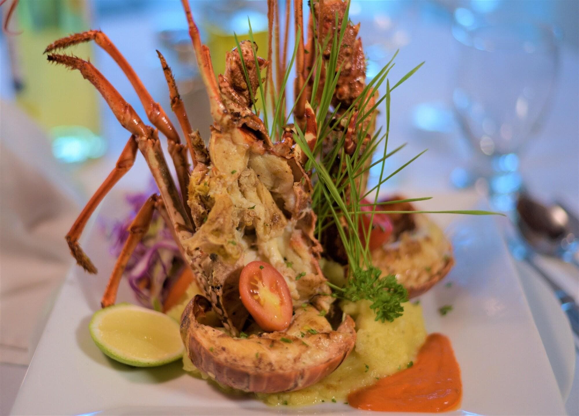 Alkquimia Hotel Lounge And Bar, Restaurant