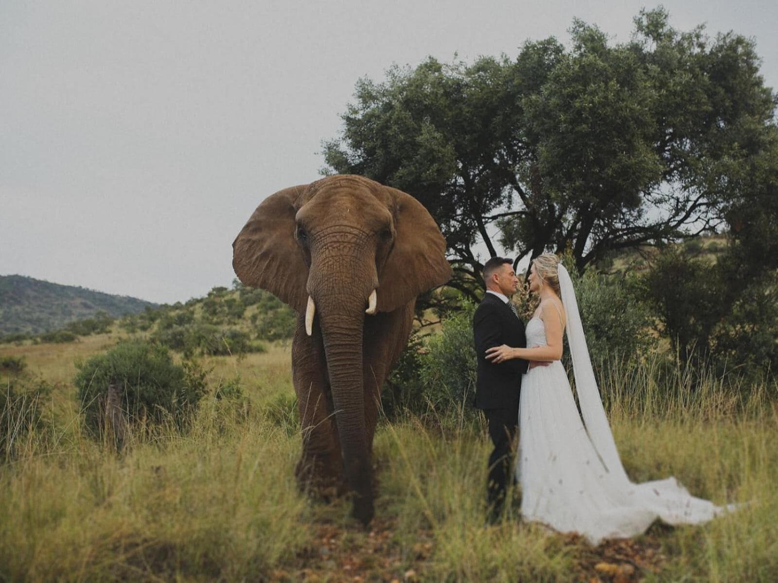 Glen Afric Country Lodge, General view