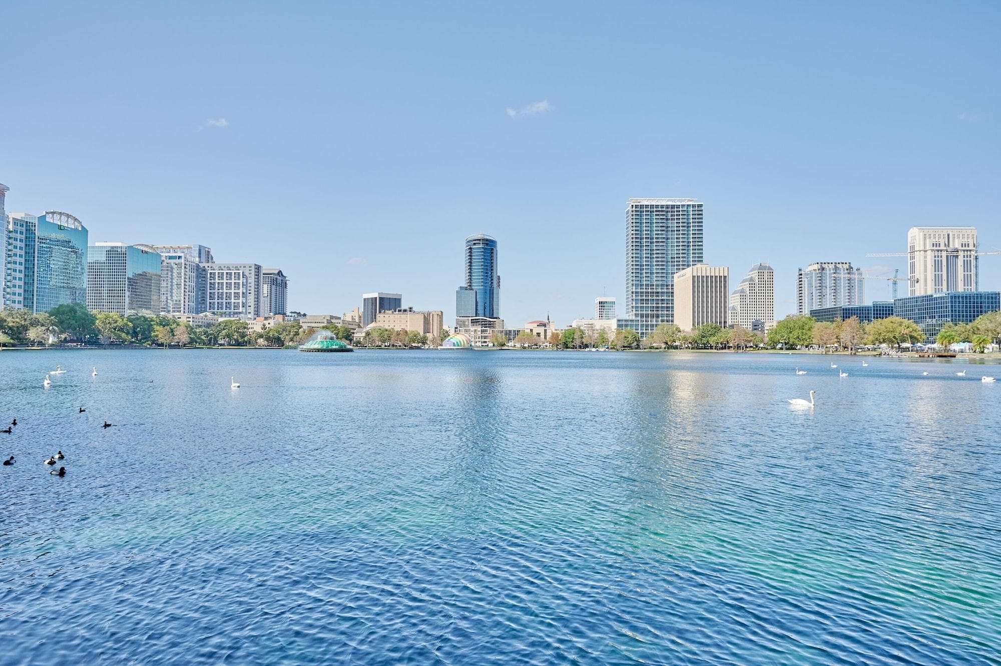 Sonder - Wellborn, General view