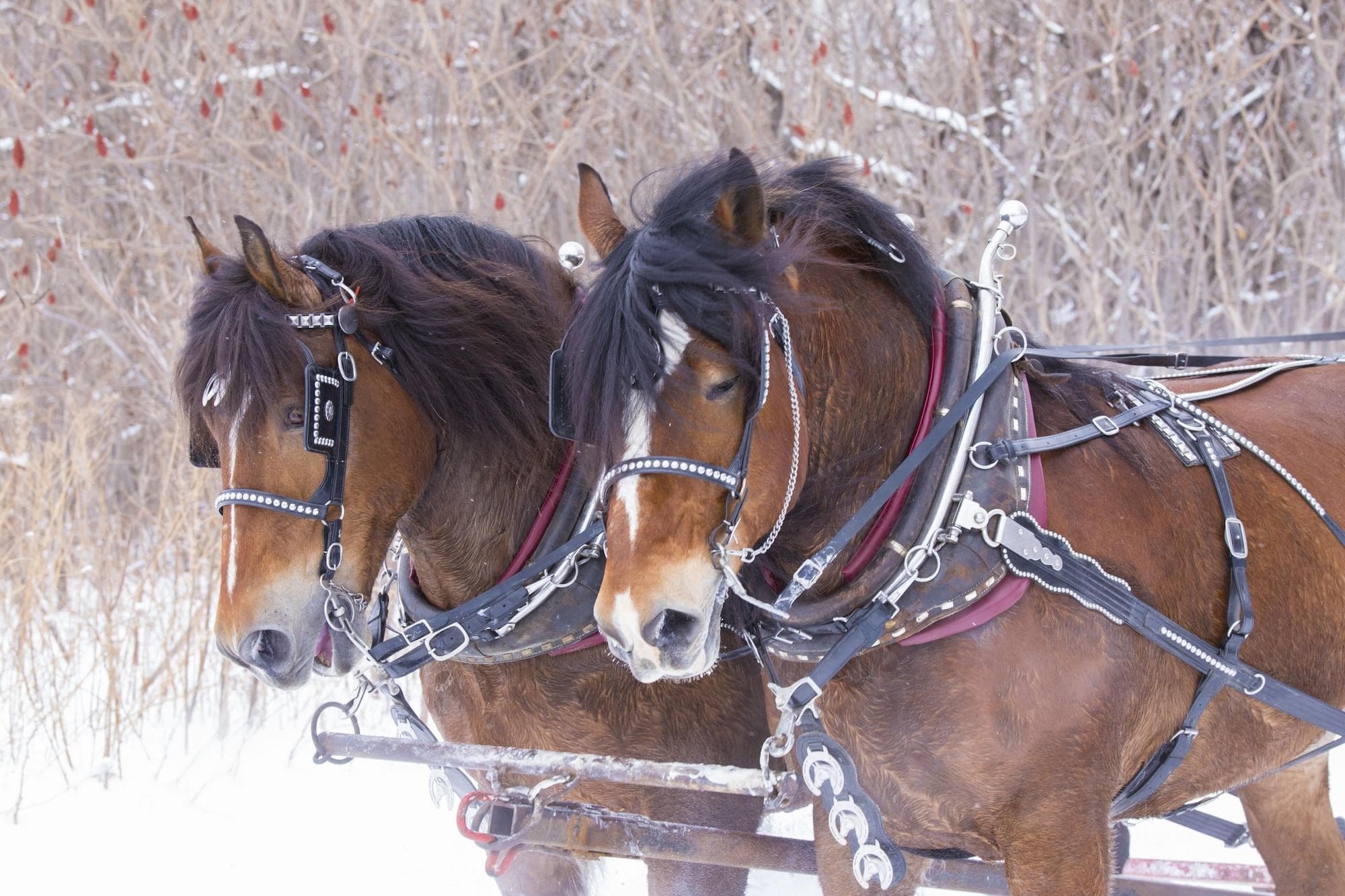The Inn at Thorn Hill & Spa, General view