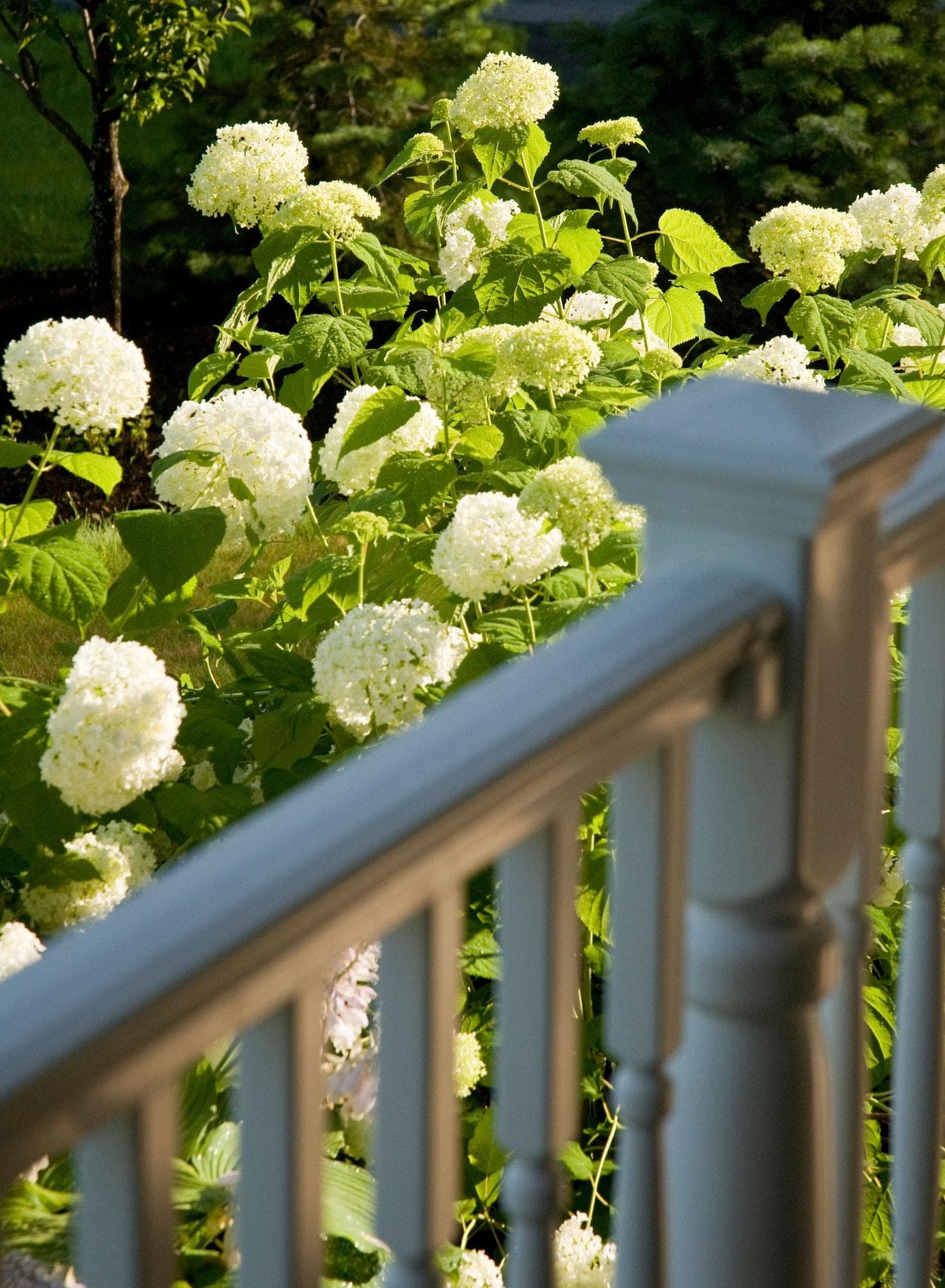 The Inn at Thorn Hill & Spa, Room