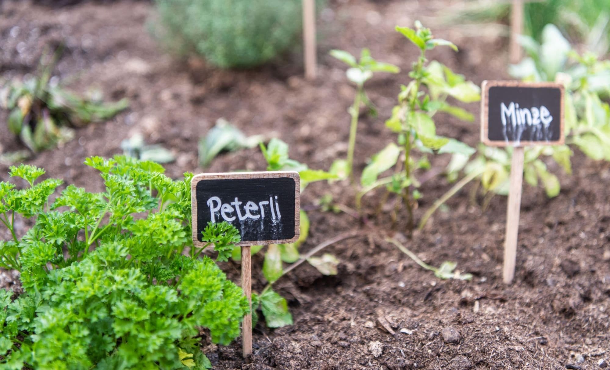 Hotel Restaurant La Tgoma, General view