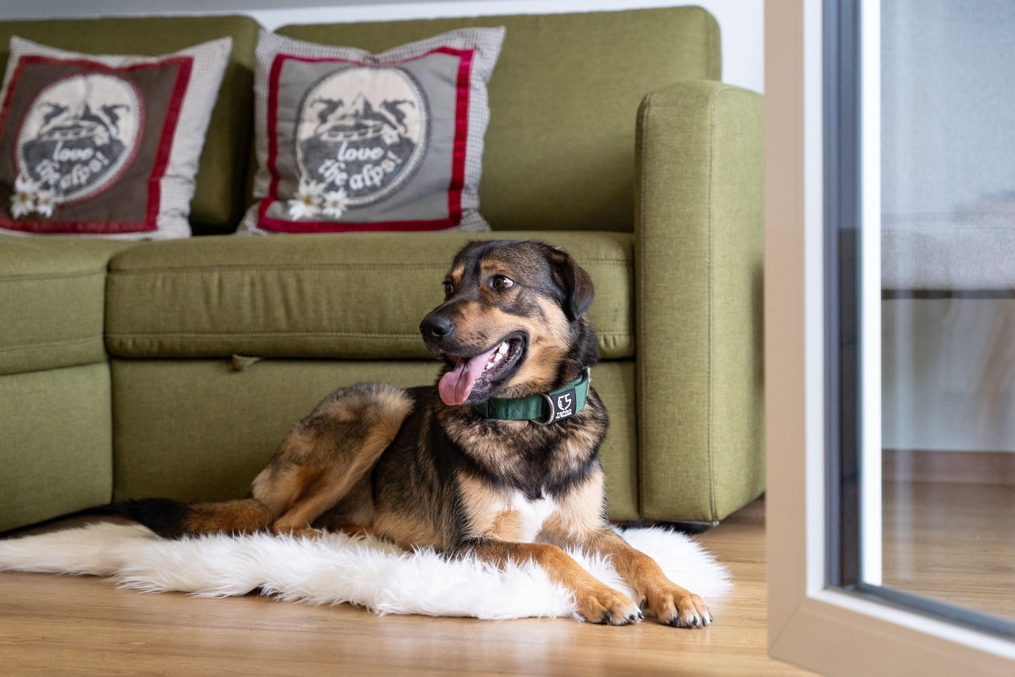 Cooee Alpin Hotel Dachstein, General view