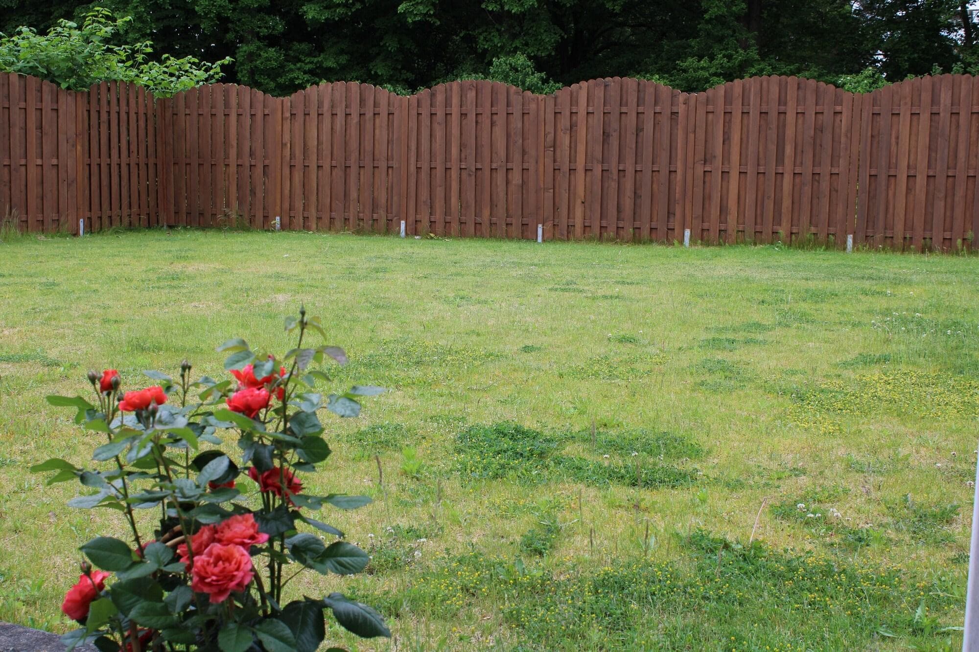 Hotel Richter, General view